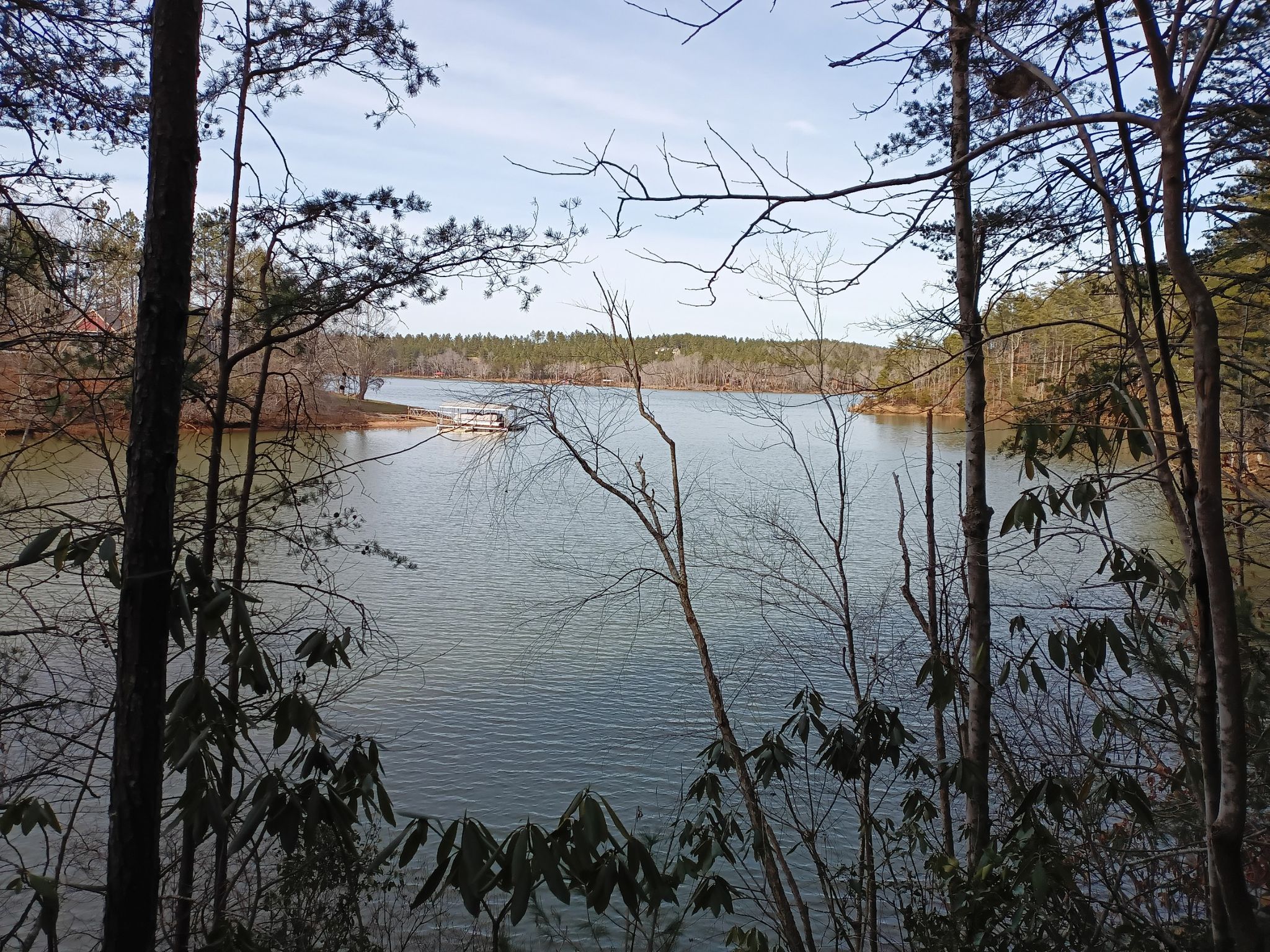 Calm lake framed by bare trees under a bright sky. - Valdese Greenway loop from Hobble Haven