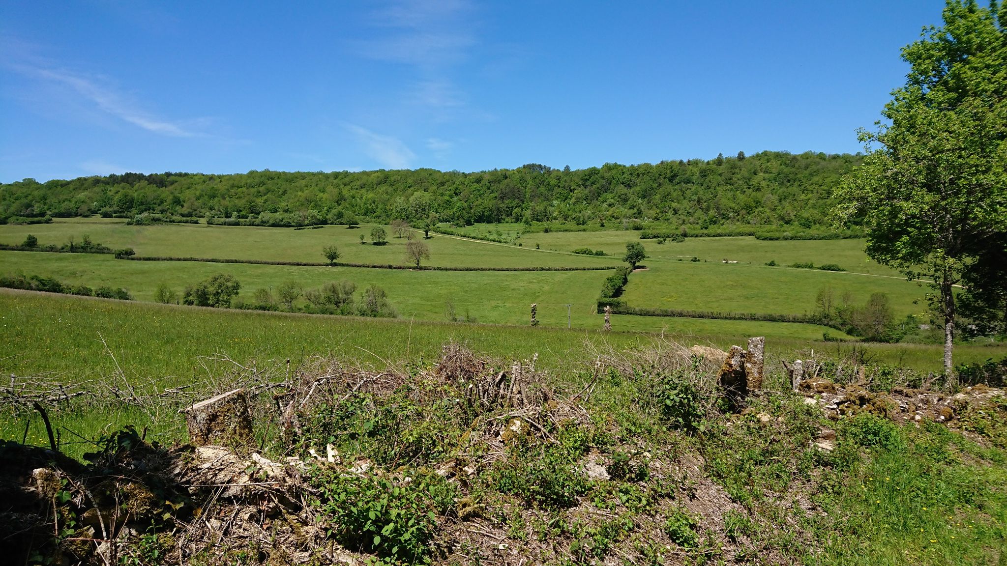 Blick zurück