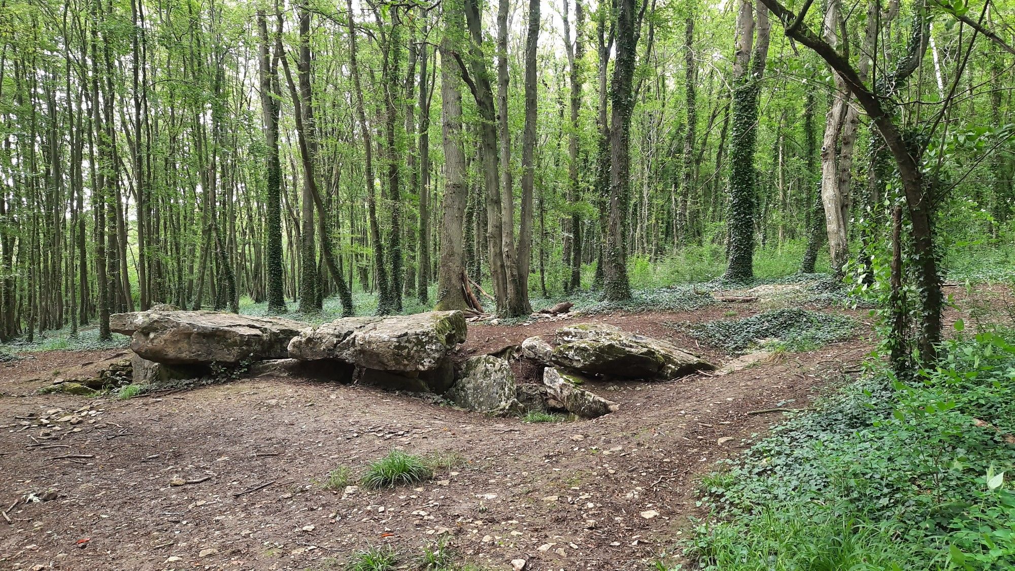 Allée Couverte de Dampsmesnil