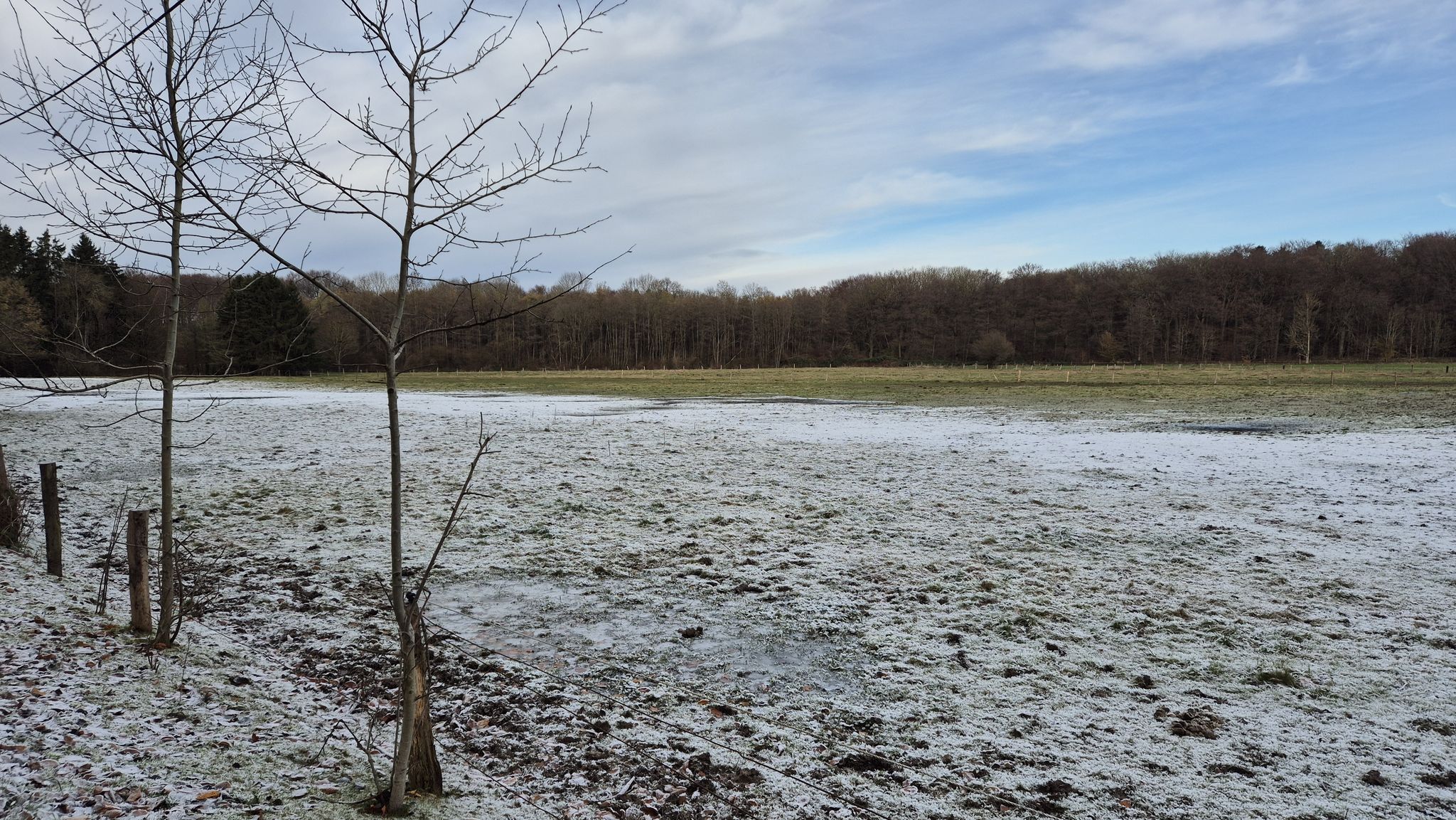 Winterstimmung im November