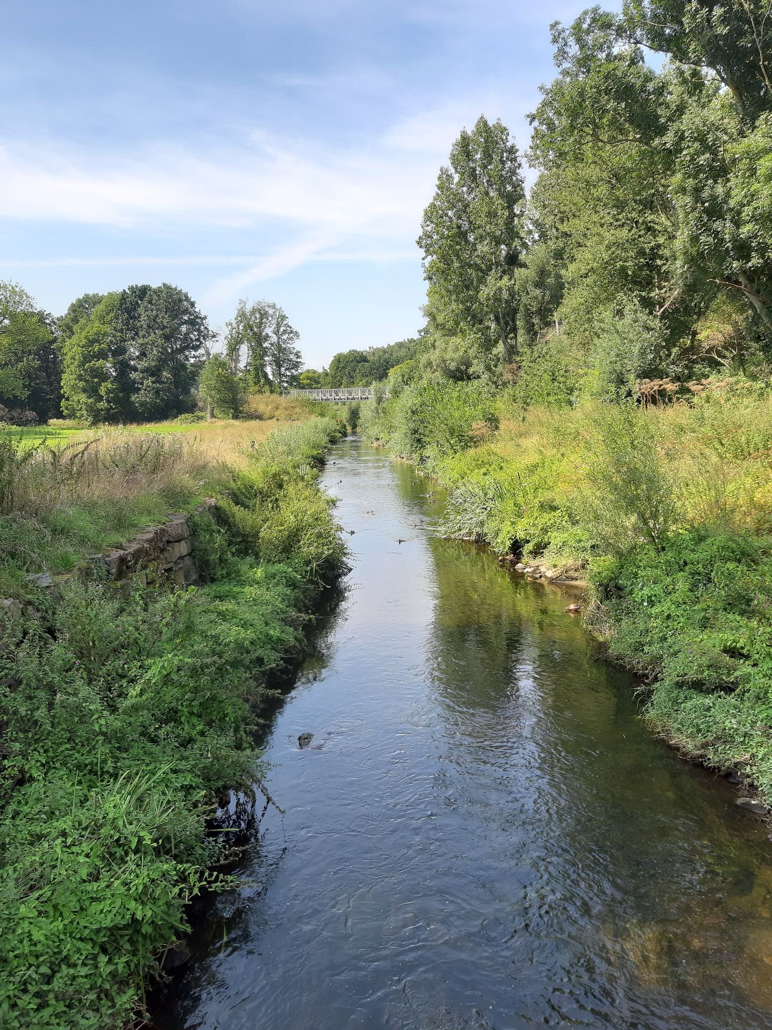 Geelenbeek mit Enten 2
