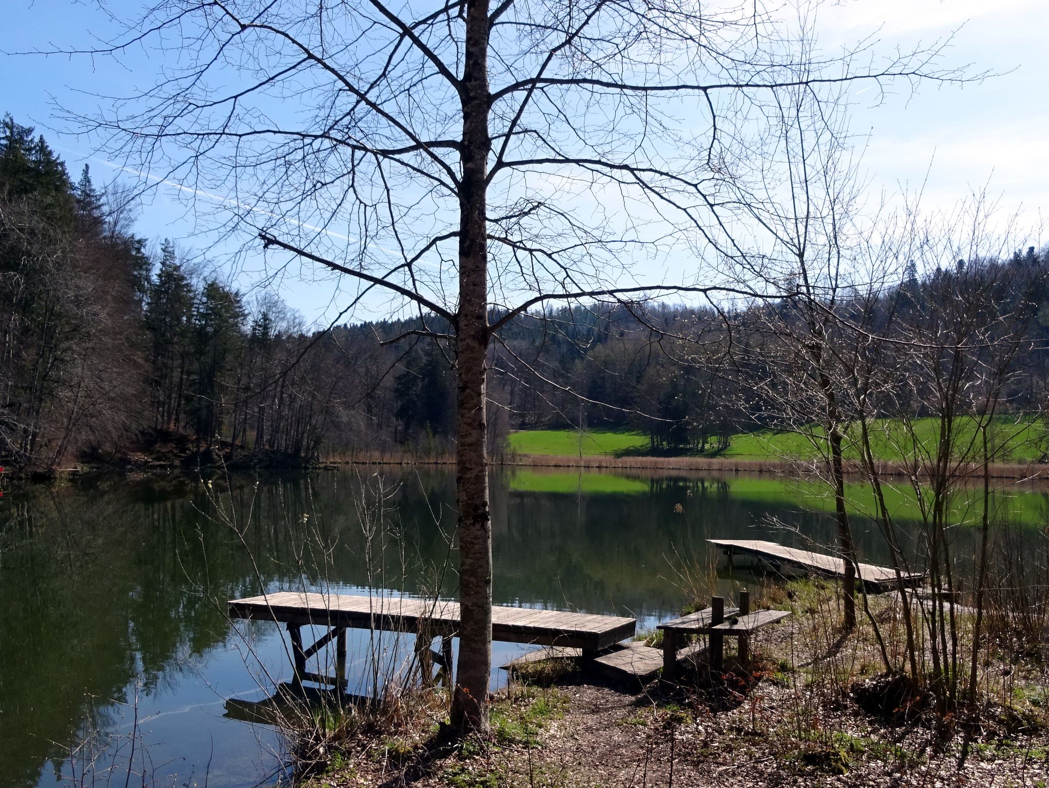 Waldweiher