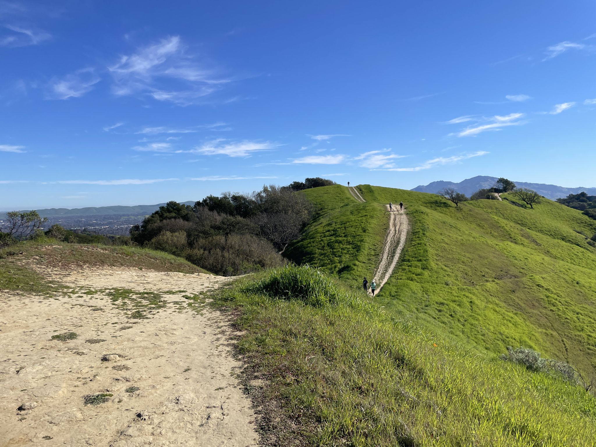 People hiking on a winding dirt trail through vibrant green hills under a blue sky. - Lafayette Ridge and Springhill Trail Loop