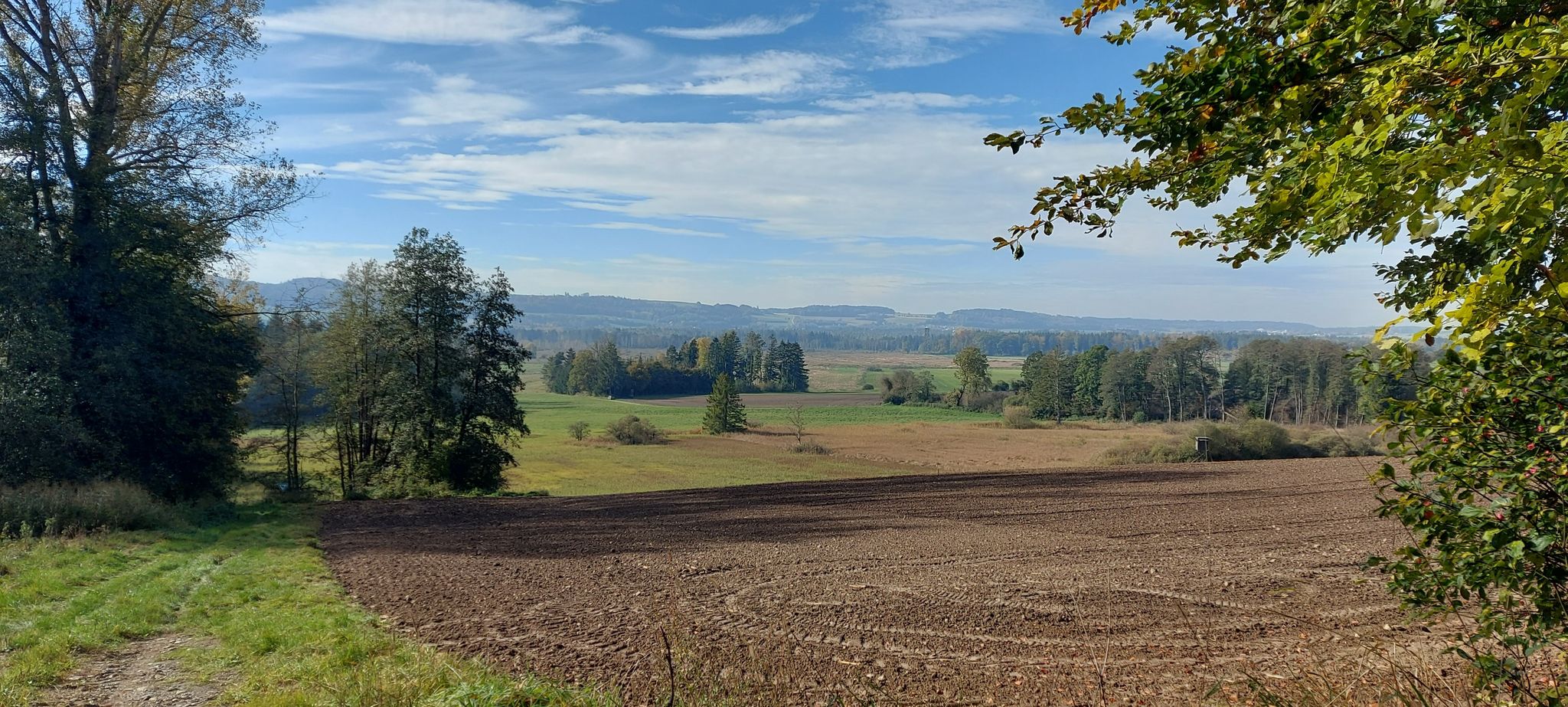 Blick aufs Pfrunger Ried