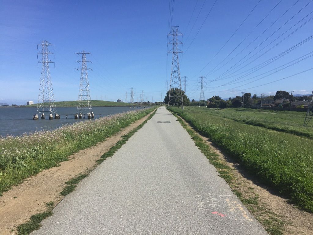 Straight paved path between green fields and power lines, with water on the left. - Gerry Mon Memorial Path – Seal Point Park loop from San Mateo