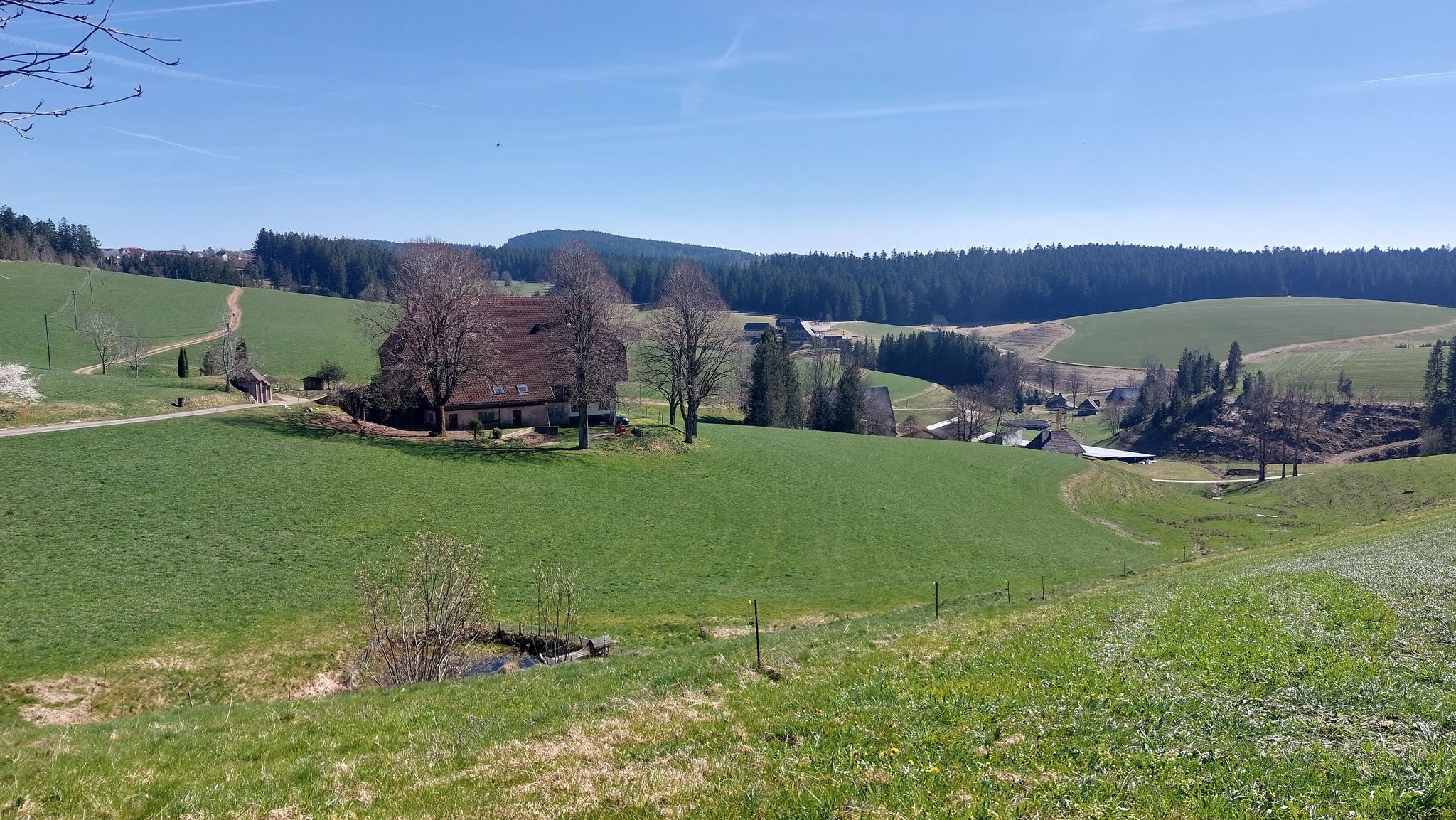Oberbregenbach mit typischen Schwarzwaldhöfen