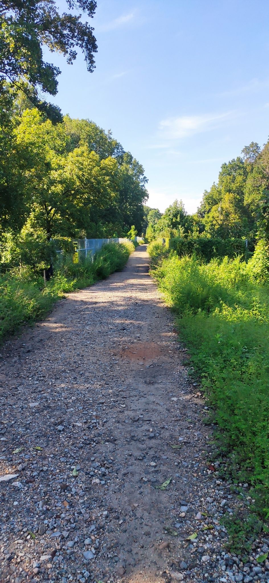 A sunny dirt path winds through lush green trees and bushes. - Inman Park – Stone Mountain Trail loop from Zoo Atlanta