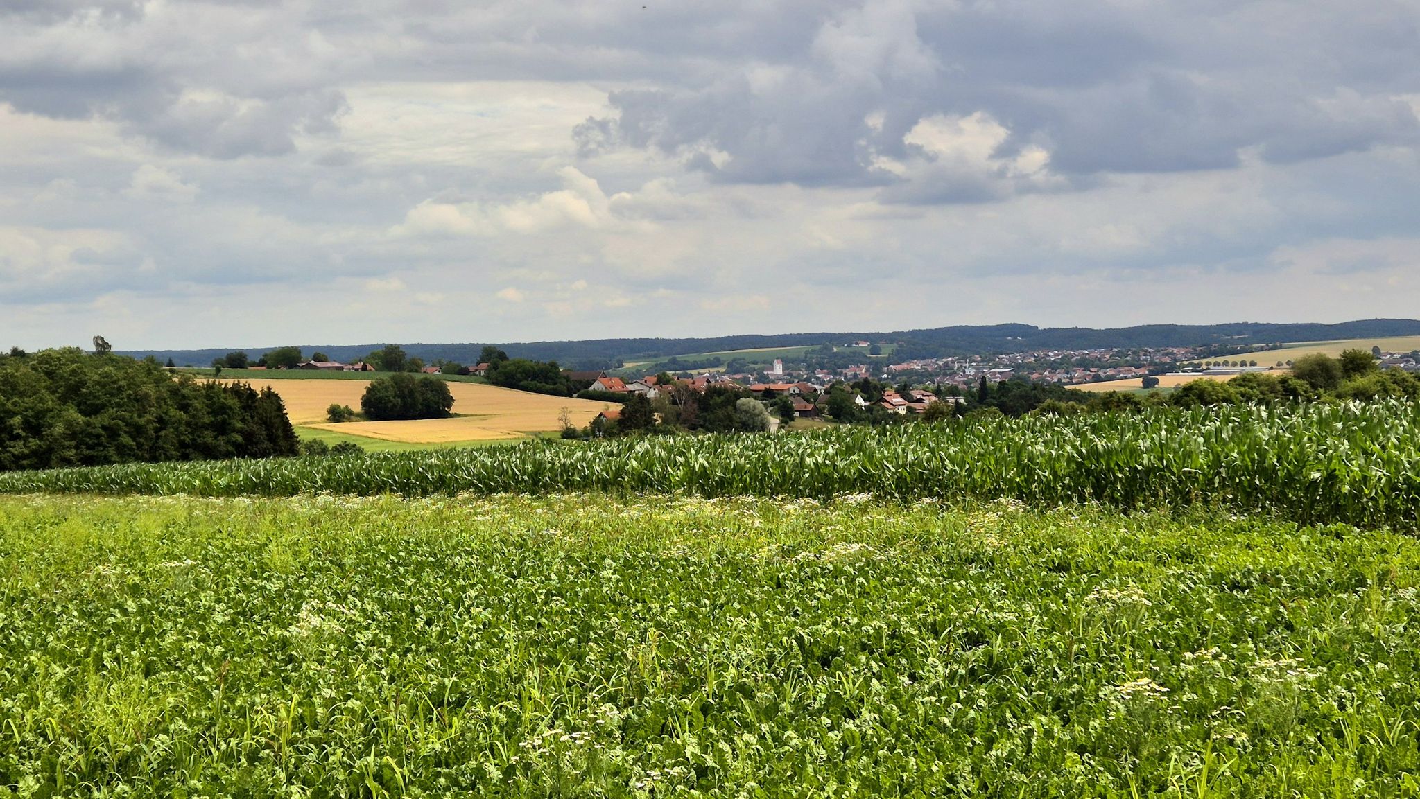 Blick nach Reisbach im Vilstal