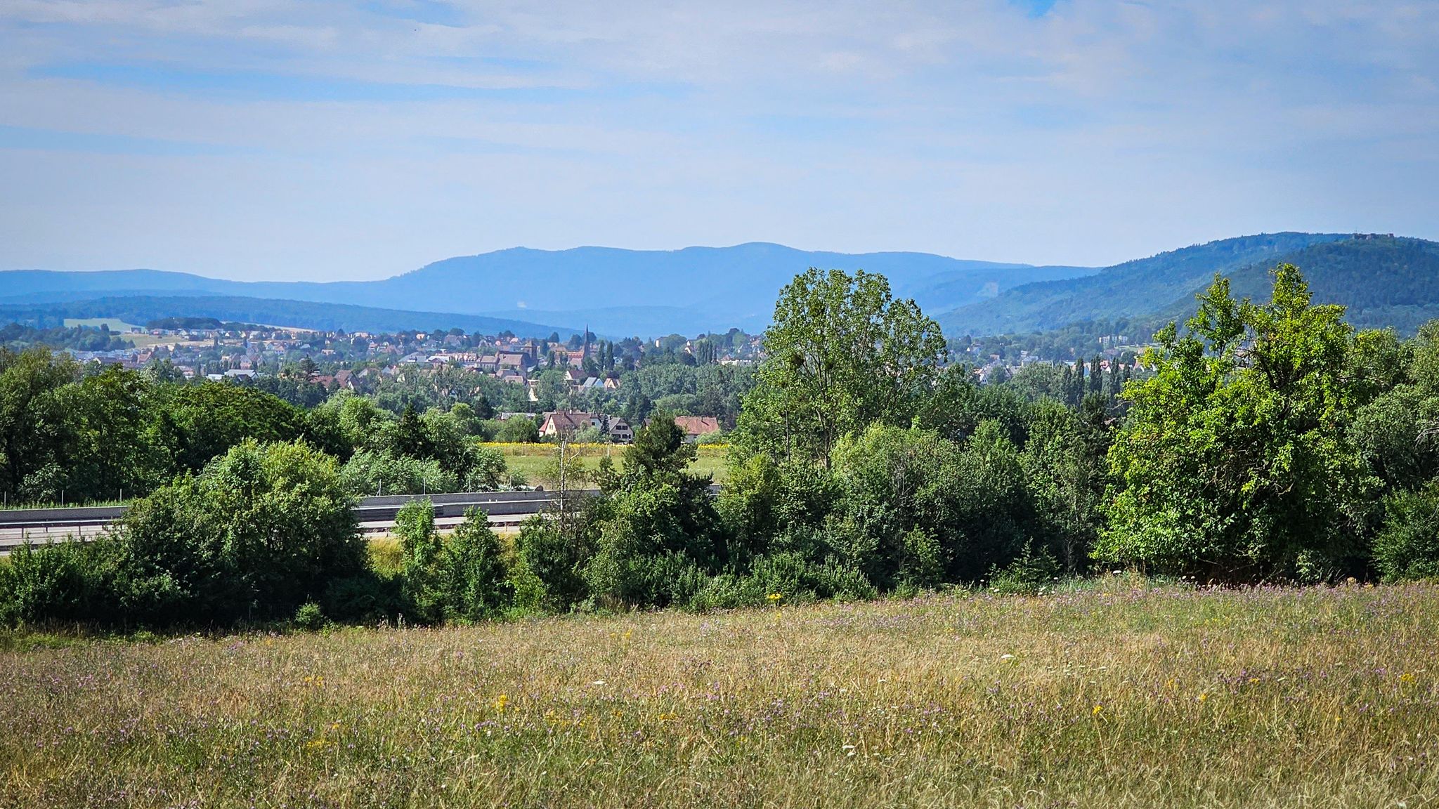 Blick auf Saverne