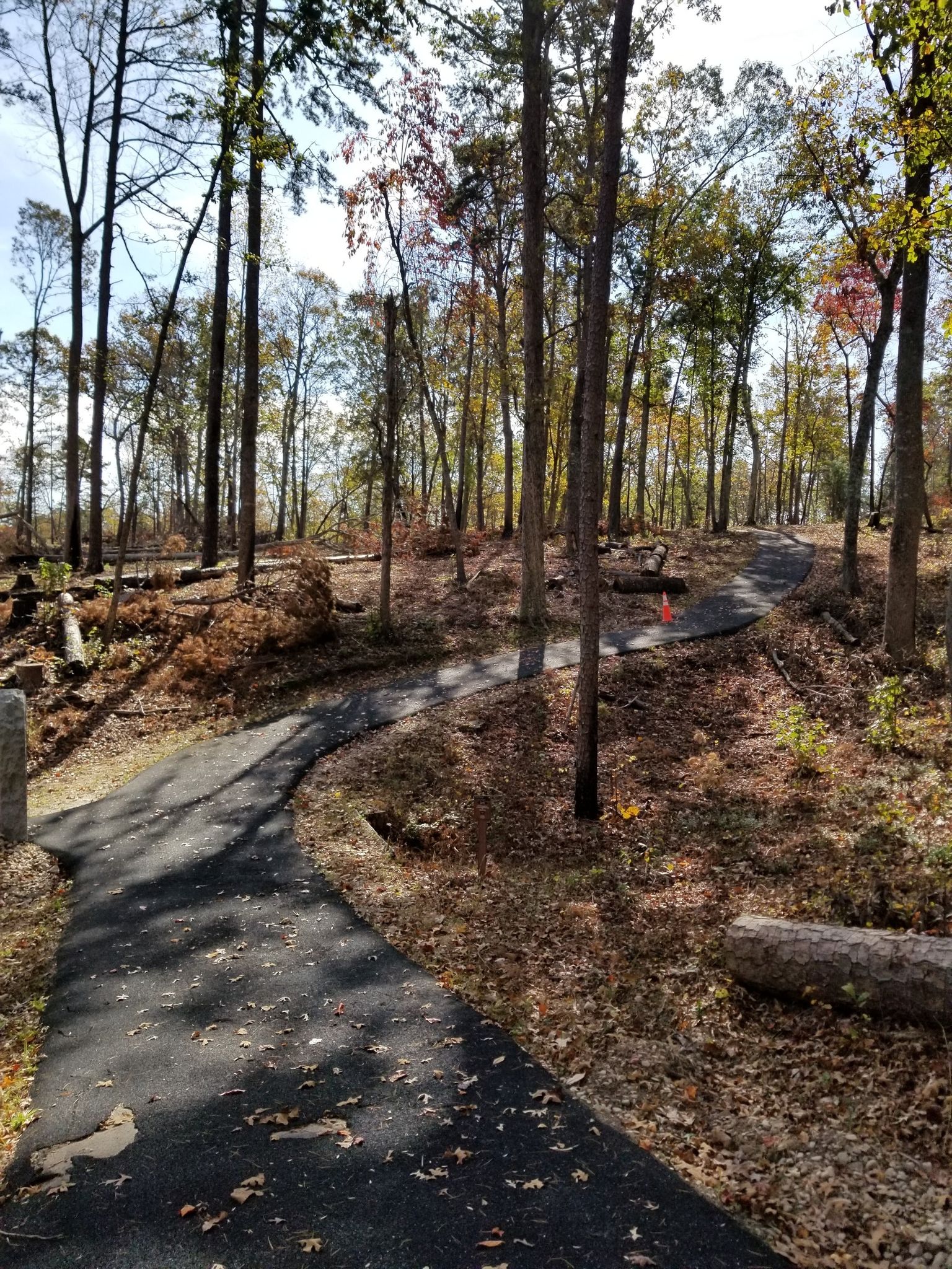 Winding paved path through a forest with fallen logs and autumn leaves. - Running loop from Kings Mountain National Military Park