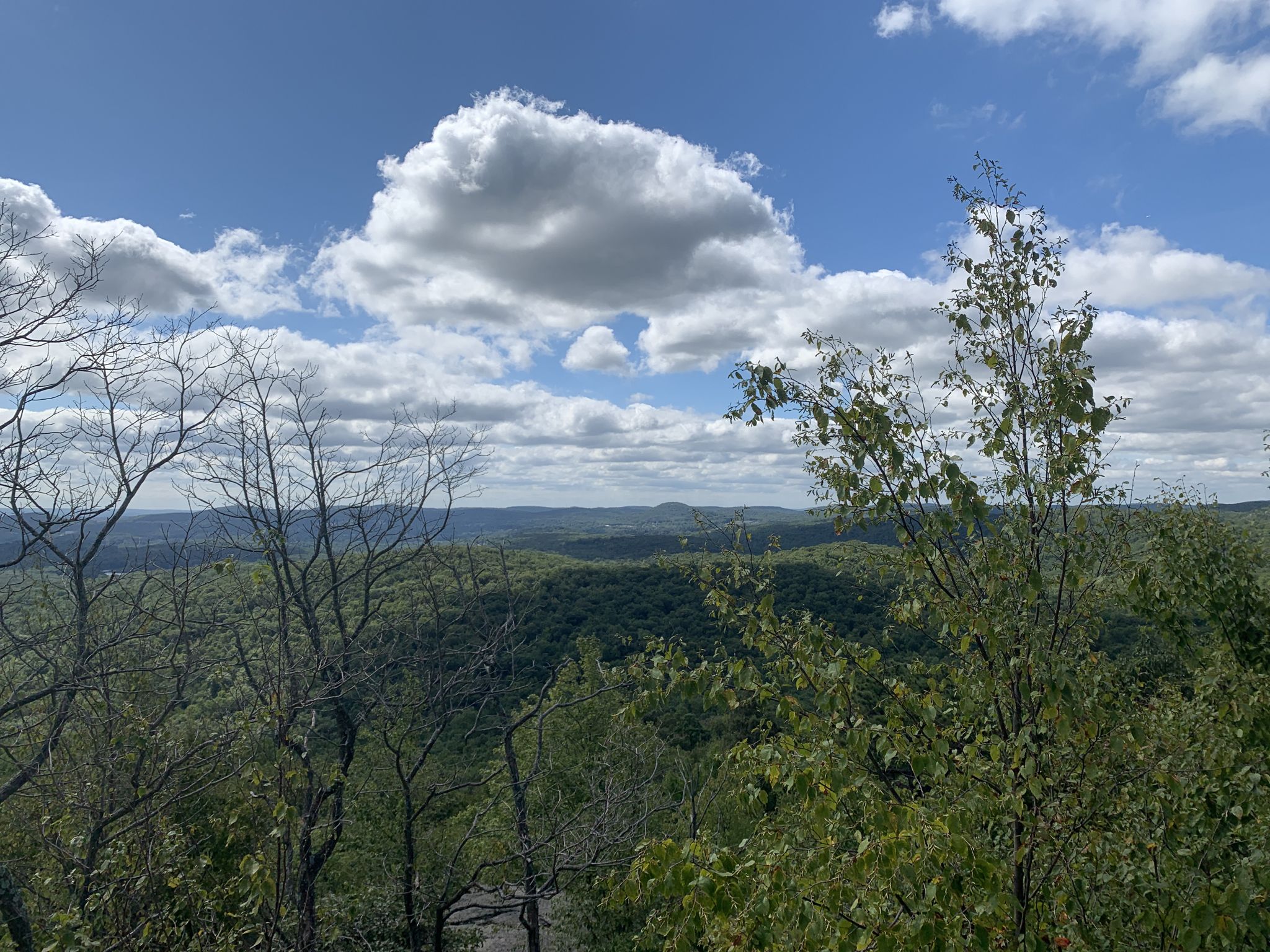 Expansive view of green forested hills under a bright, cloudy sky. - Wyanokie Circular Loop Trail