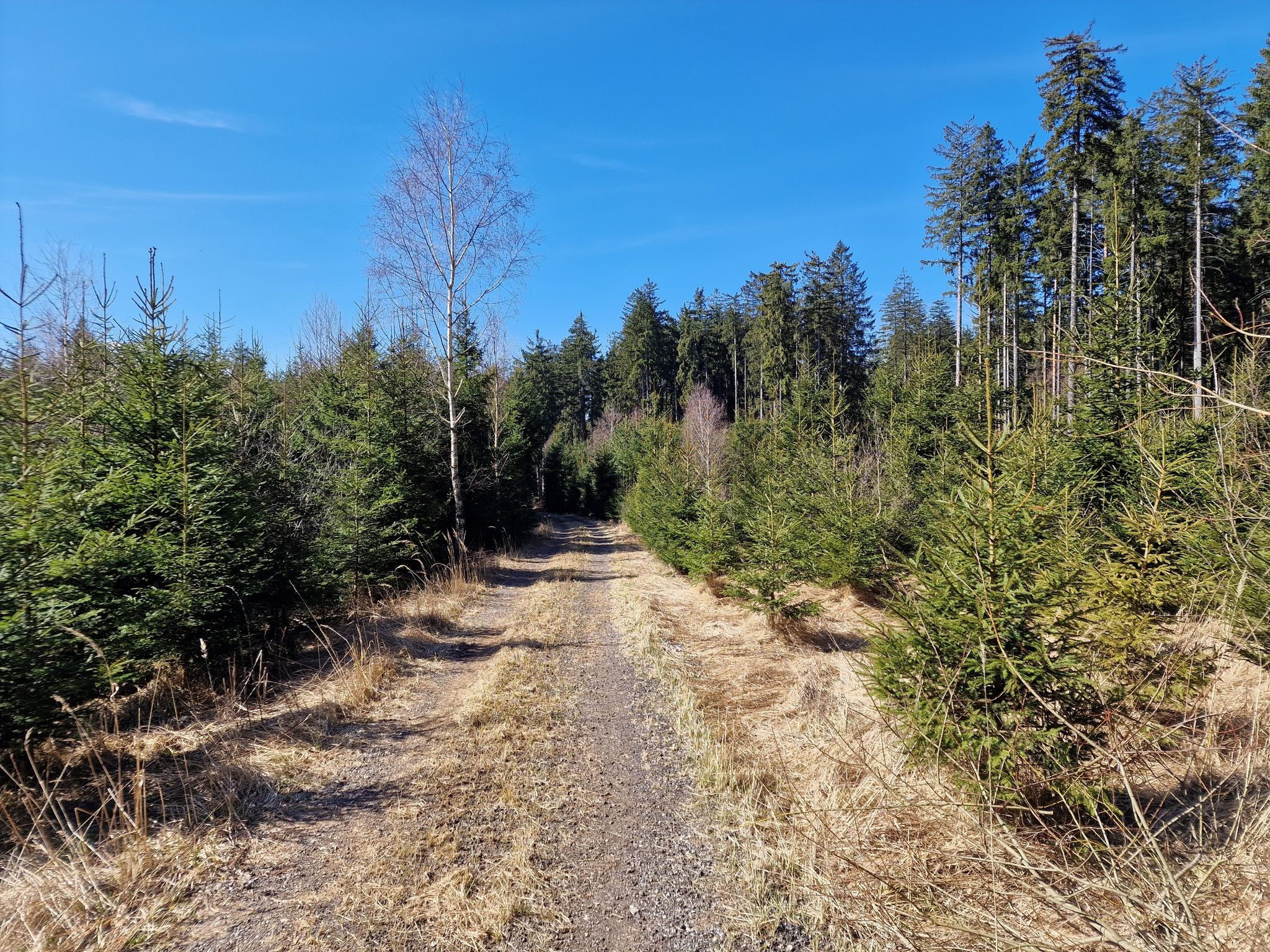 Richtung Sallingberg