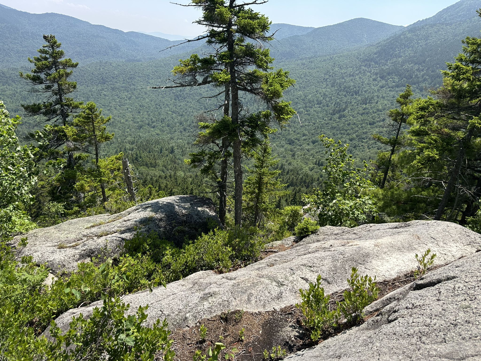 Rocky mountain terrain with pine trees, overlooking dense green forest and mountains. - Hedgehog Mountain via UNH Trail