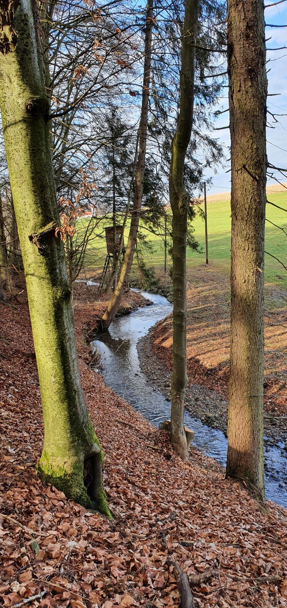 schon ganz schön munter plätschert das Bacherl dahin