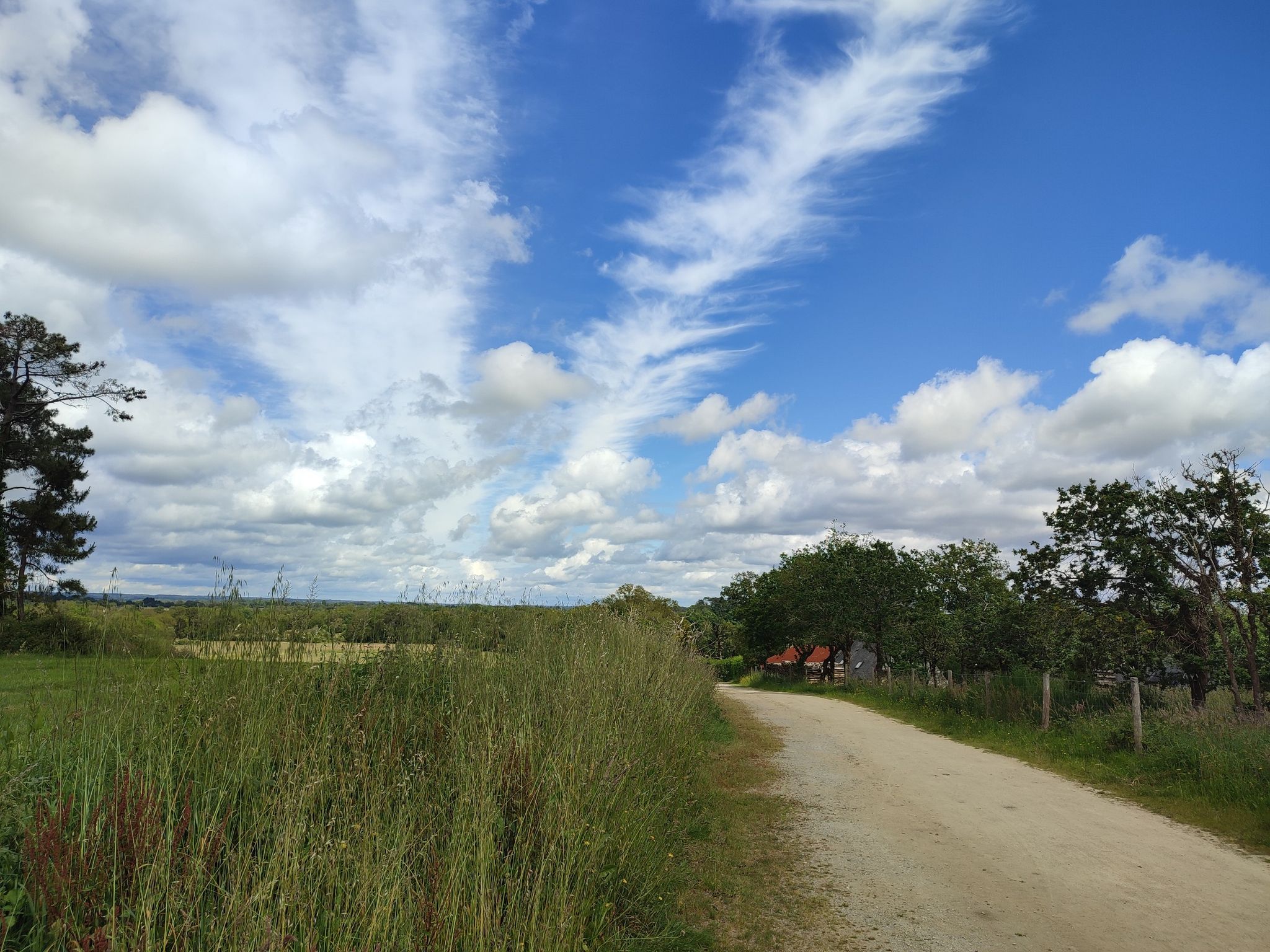 Point de vue