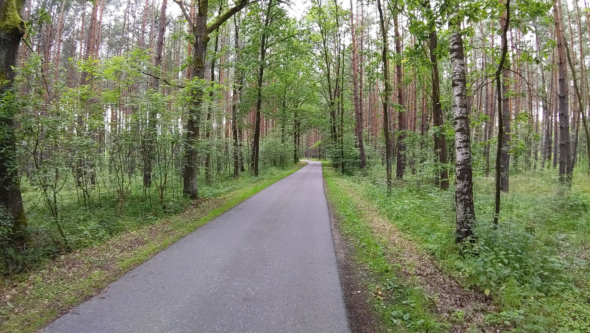 Froschradweg bei Bienhain