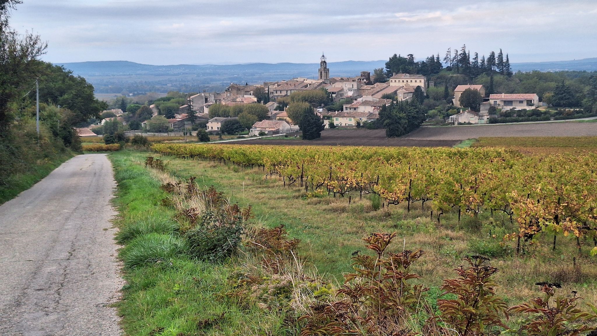 Chemin de la Carne, en approche de Visan.