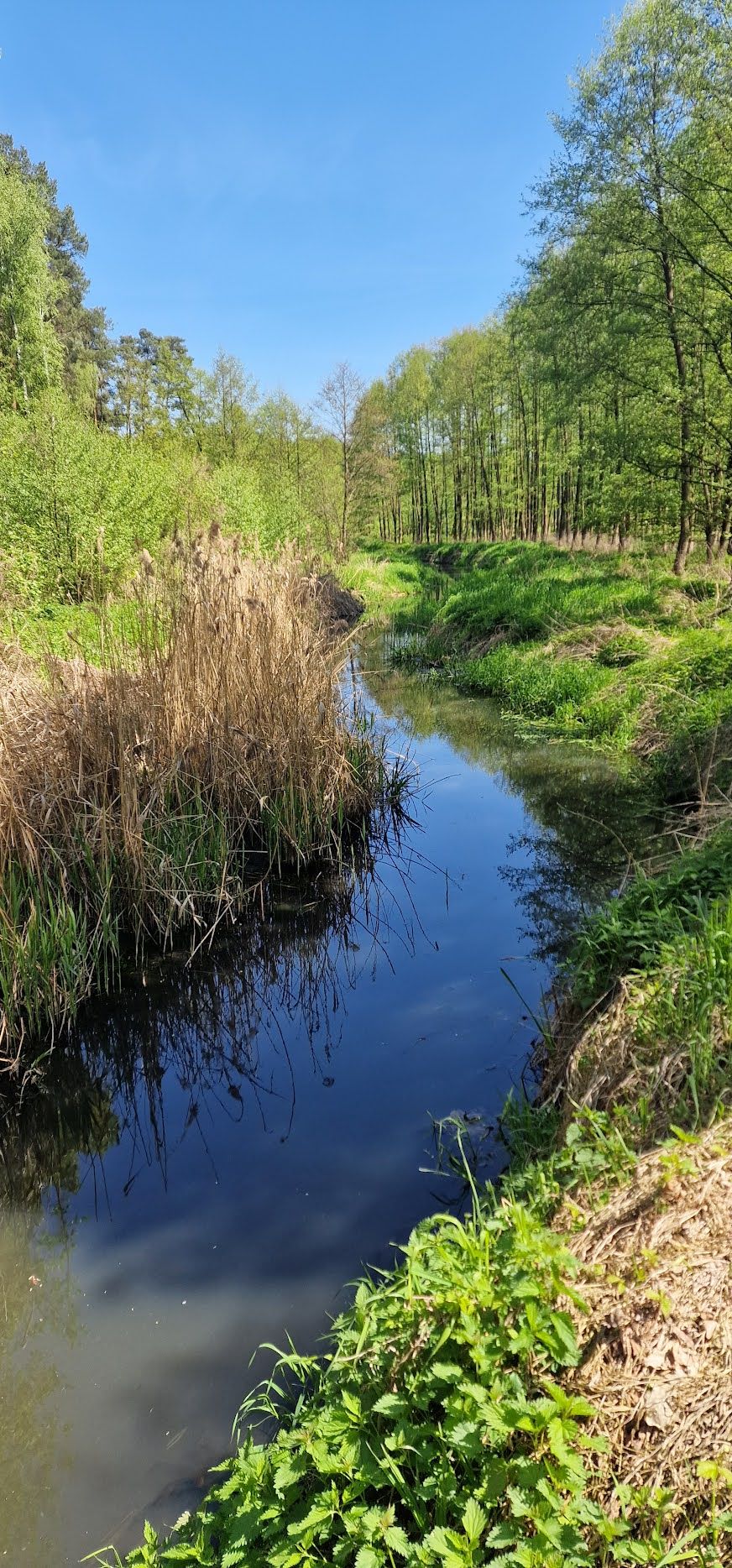 Krzycki Rów