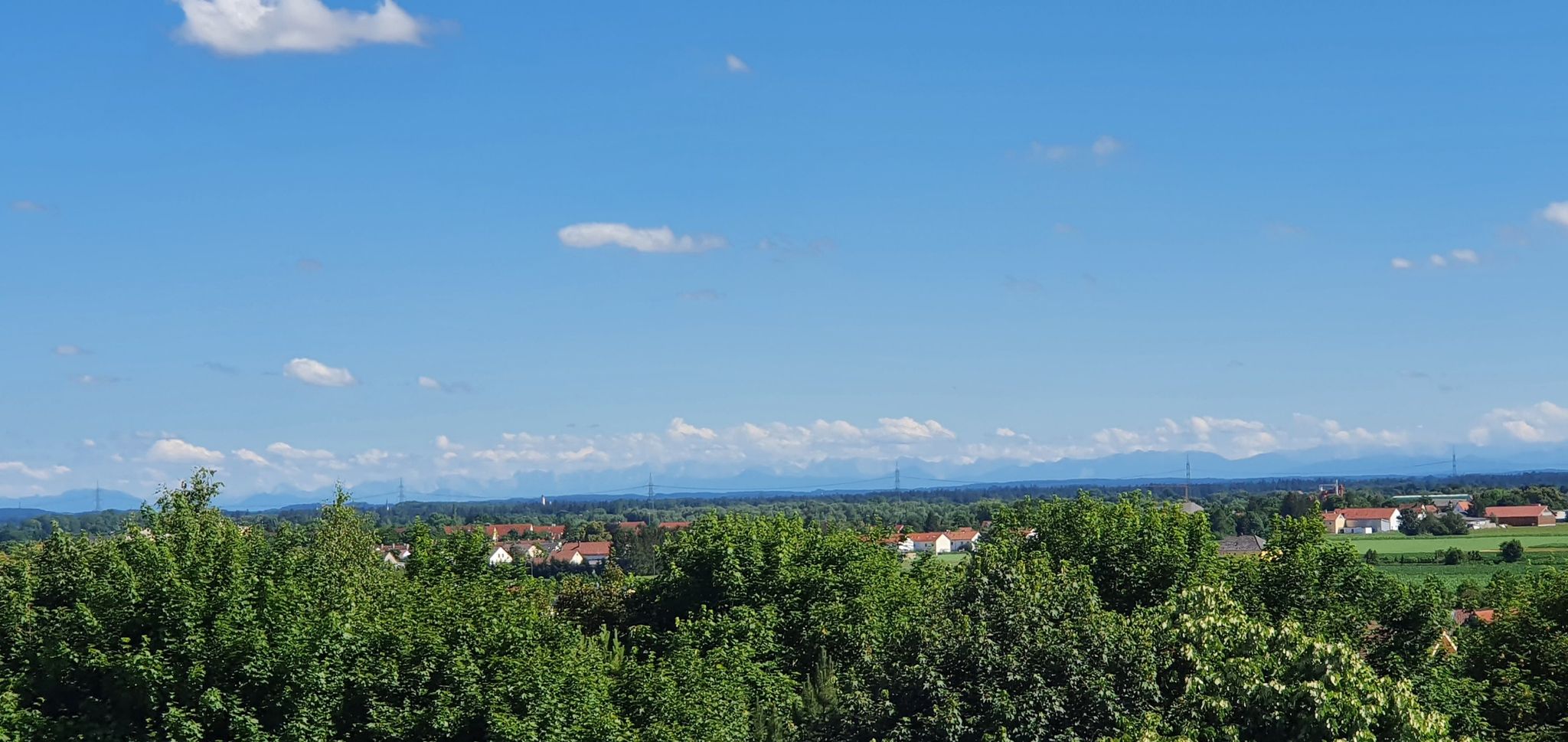 Dafür bin ich auf dem Ulrichsberg gelandet