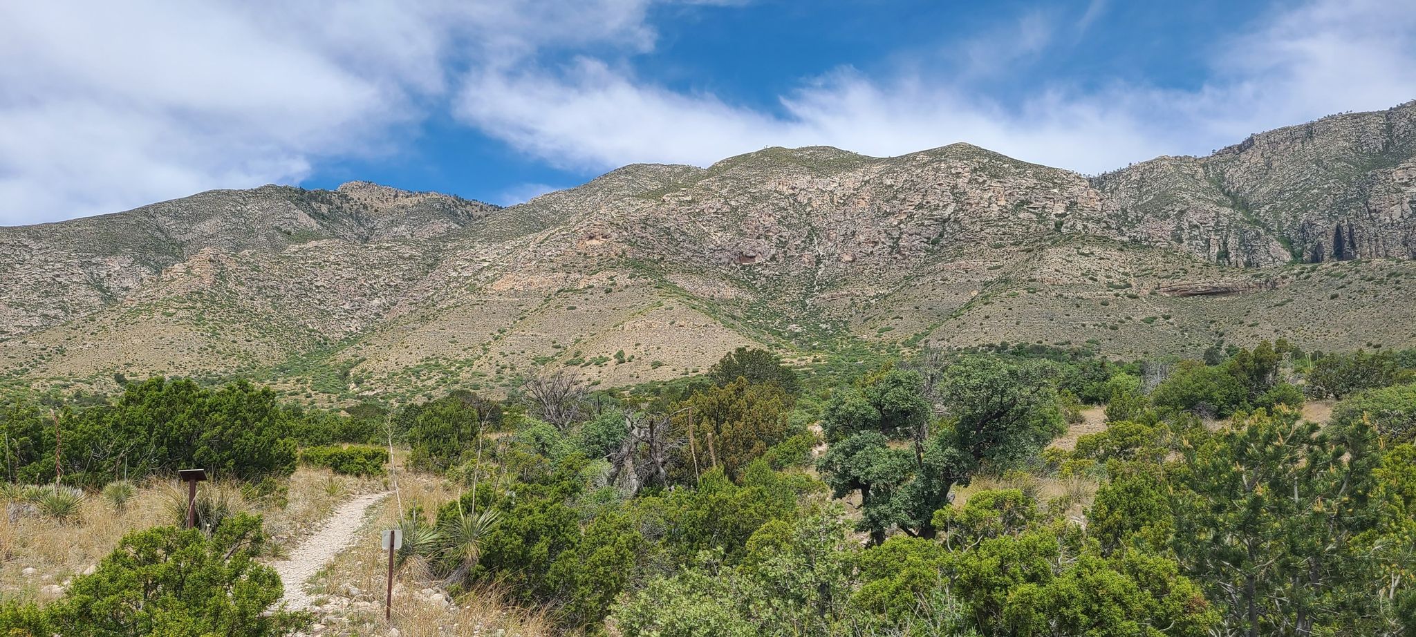 Sunny mountain range overlooks a green valley with a winding dirt path. - Foothills Loop