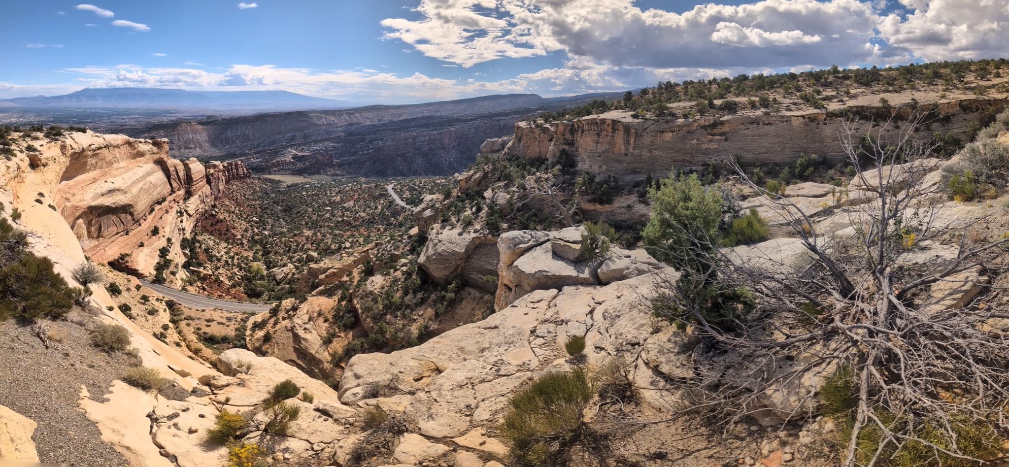 Panoramic view of a vast canyon with a winding road below. - Rim Rock Drive
