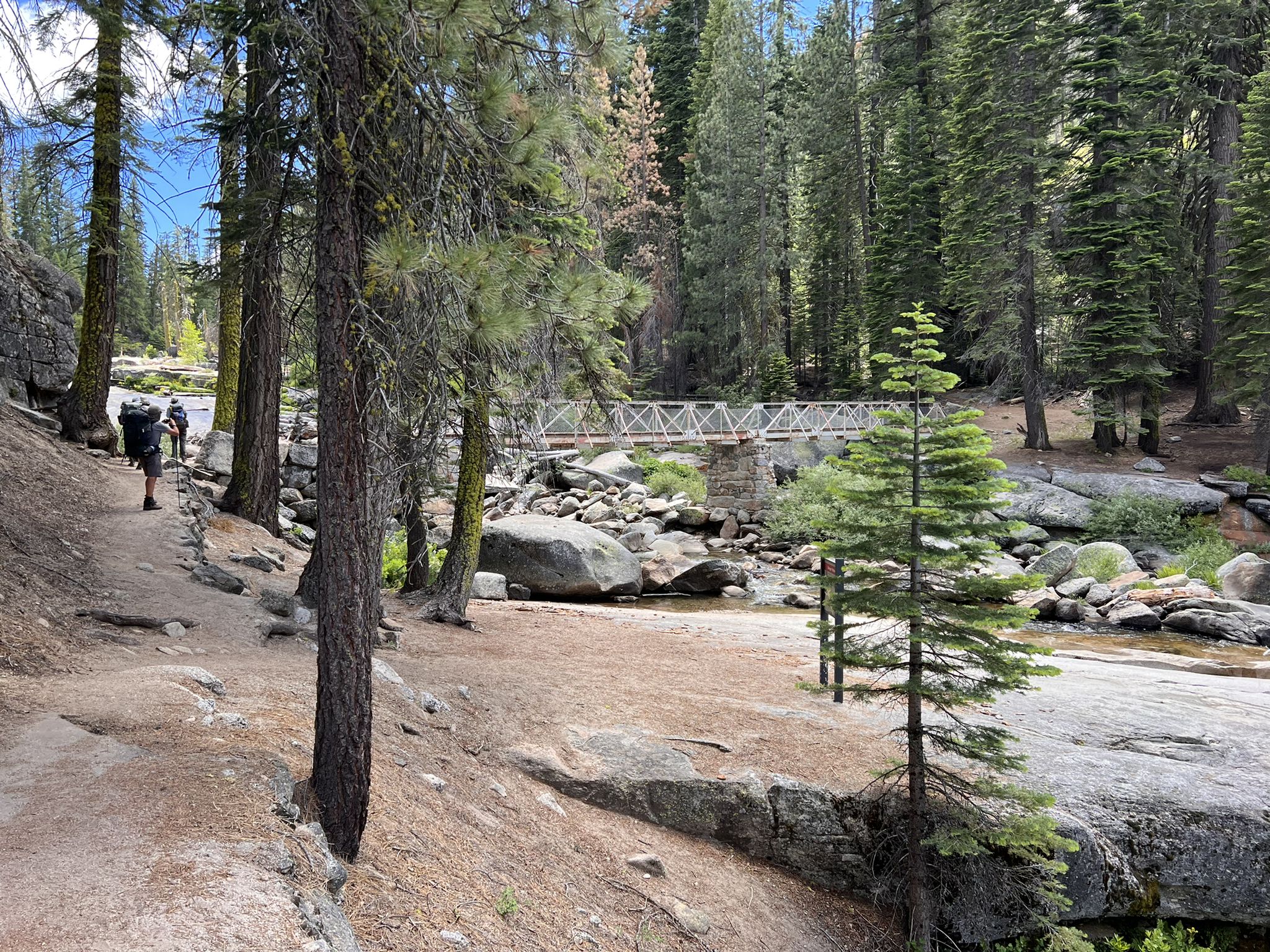 Hiker on a sunny forest path approaching a bridge over a rocky river. - Panorama Trail