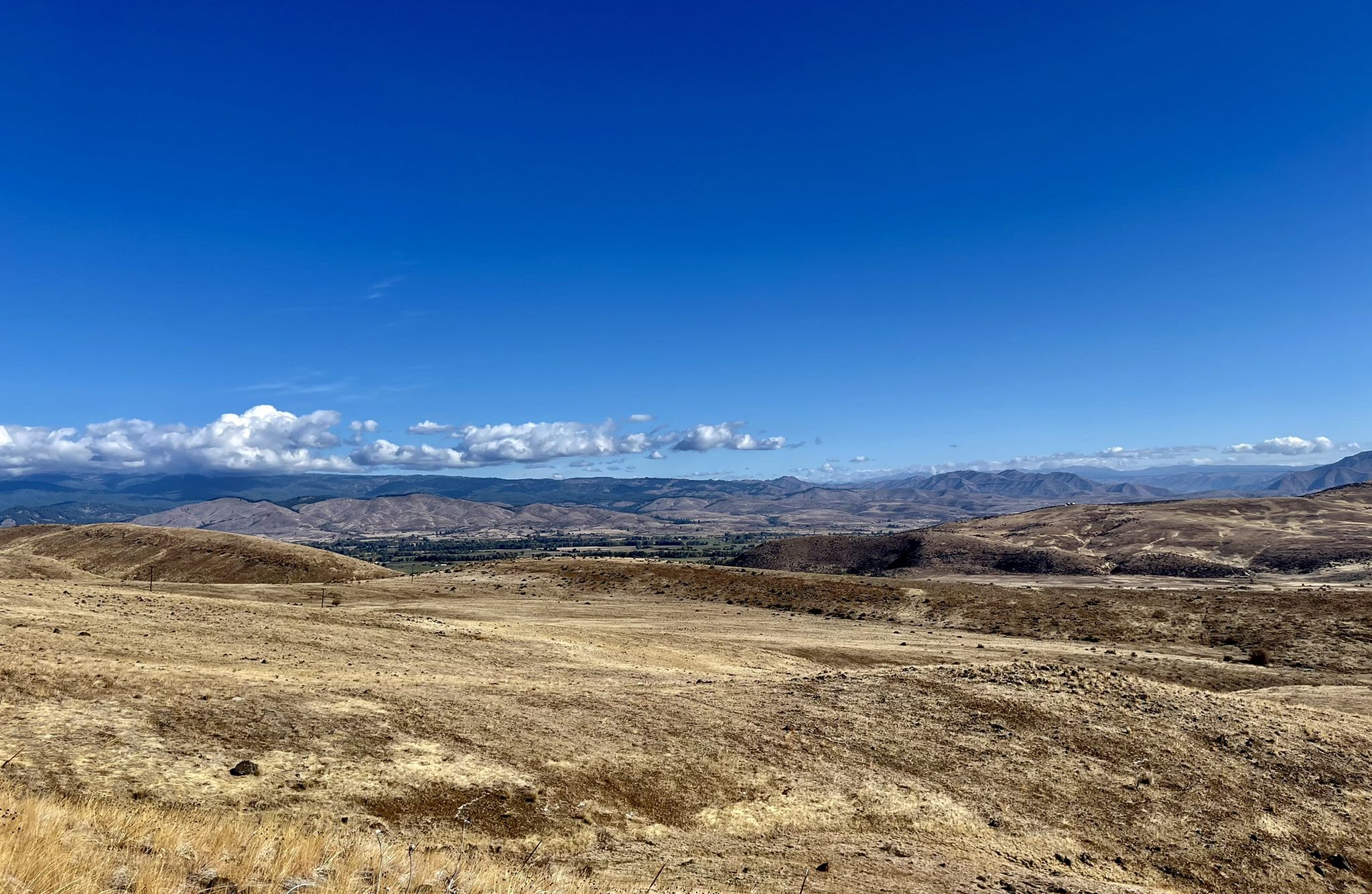 Expansive view of dry, rolling hills under a bright blue sky with distant mountains. - Halfway from Baker City via Hells Canyon Scenic Byway