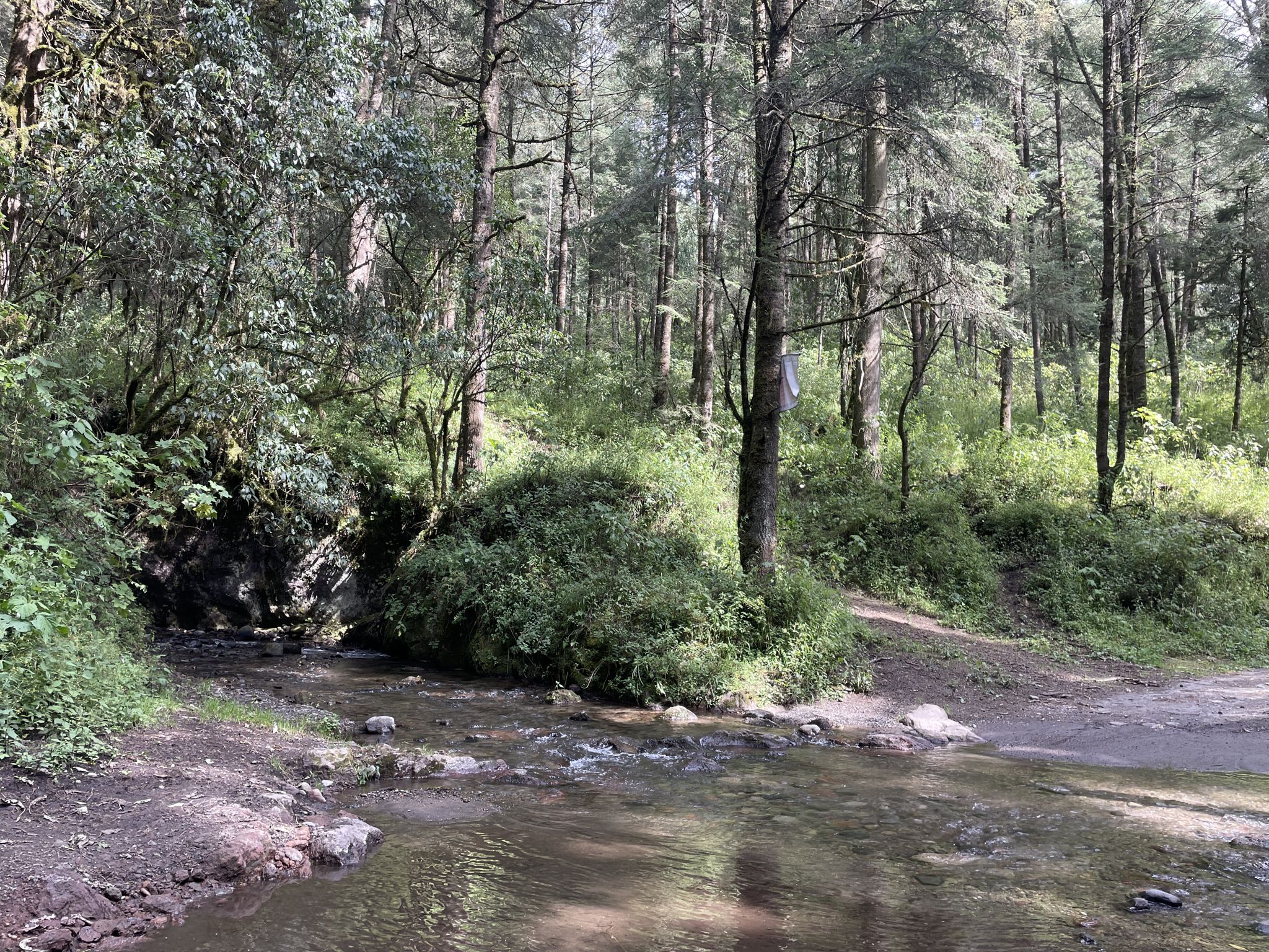 Arroyo