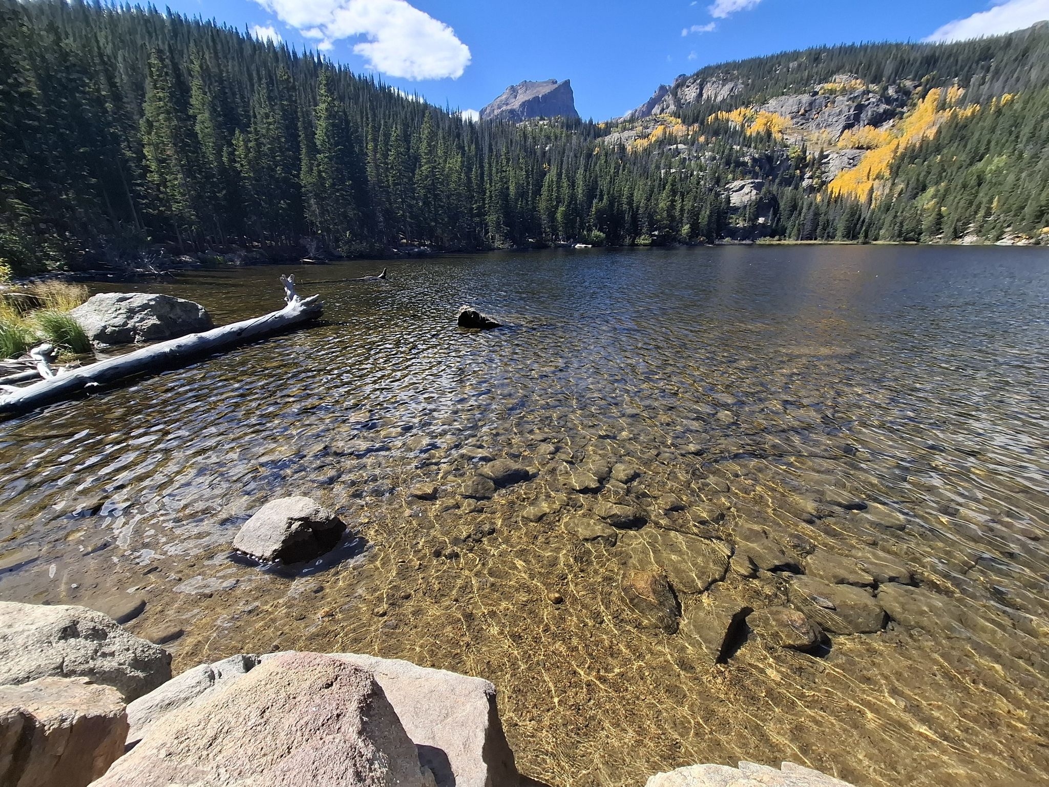 Clear lake water with visible rocks, surrounded by pine forest and mountains. - Bear Lake loop from Estes Park
