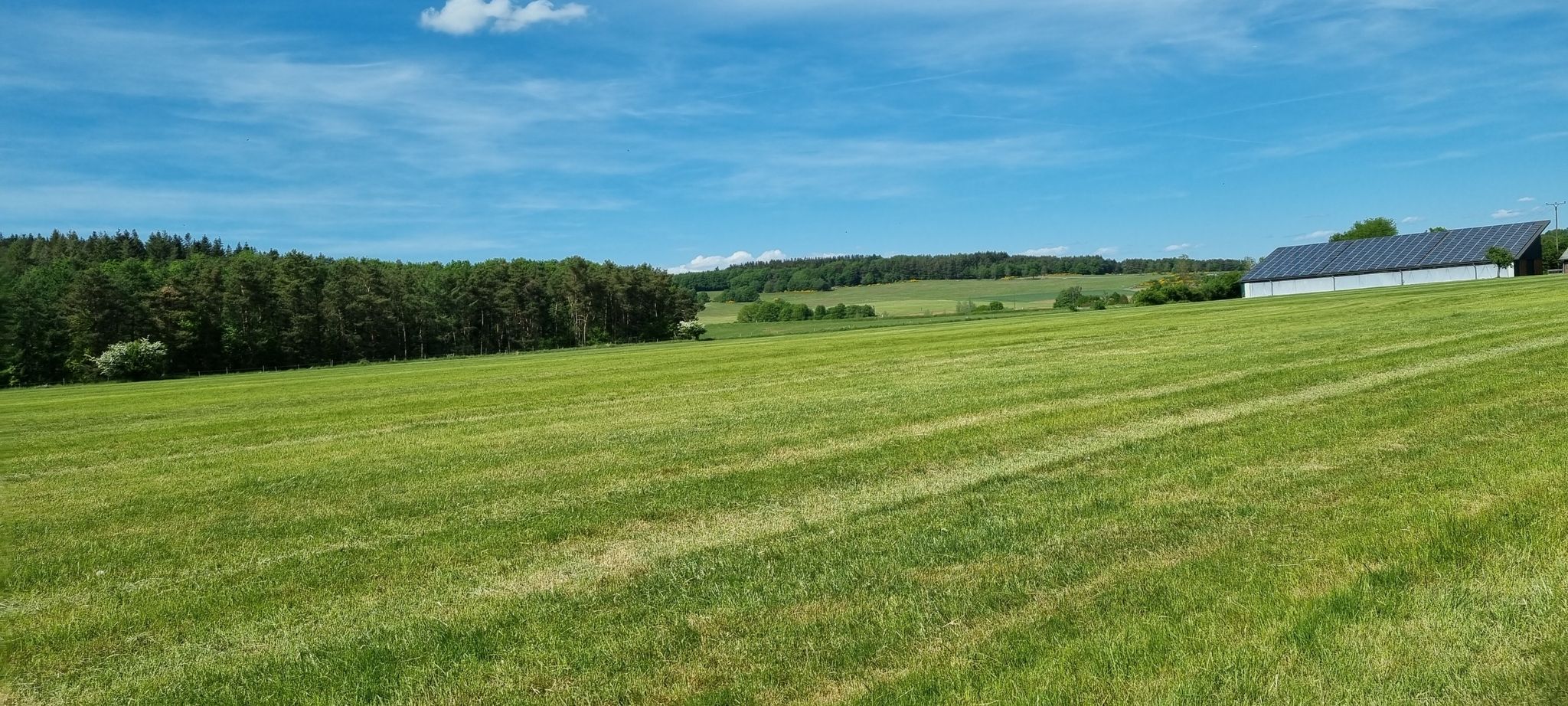 Eifel, soweit das Auge reicht