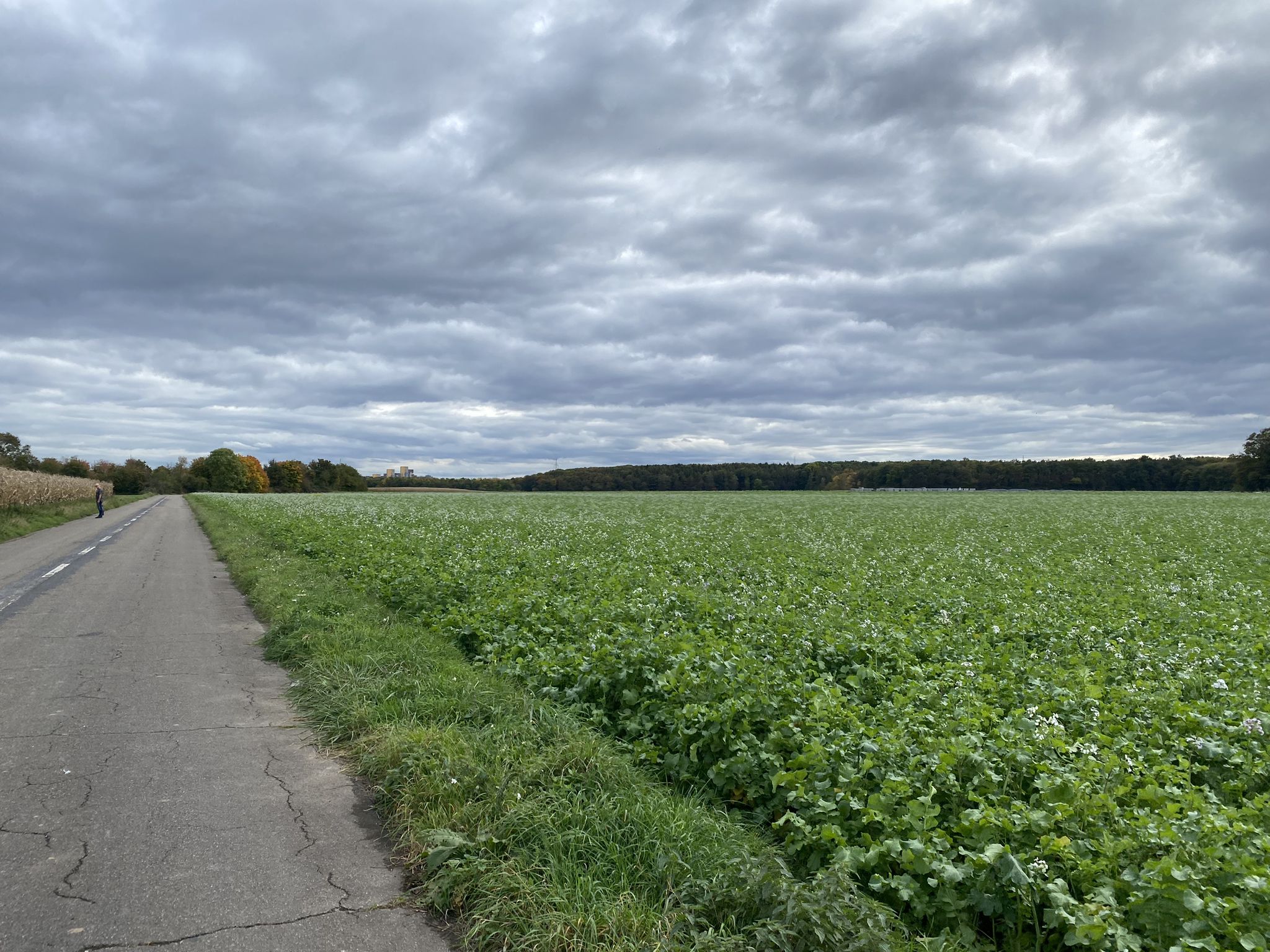 Am Horizont der Leuchtturm, der Dir bedeutet: Auf jeden Fall rechts vorbei fahren.