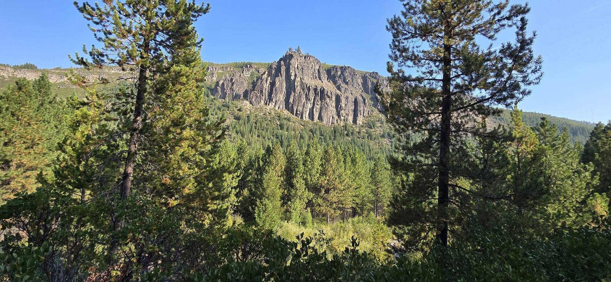 A rugged rocky peak rises above a dense pine forest in sunlight. - Tumalo Creek Trail – Swede Ridge Loop Trail loop from Swampy Lakes Trailhead