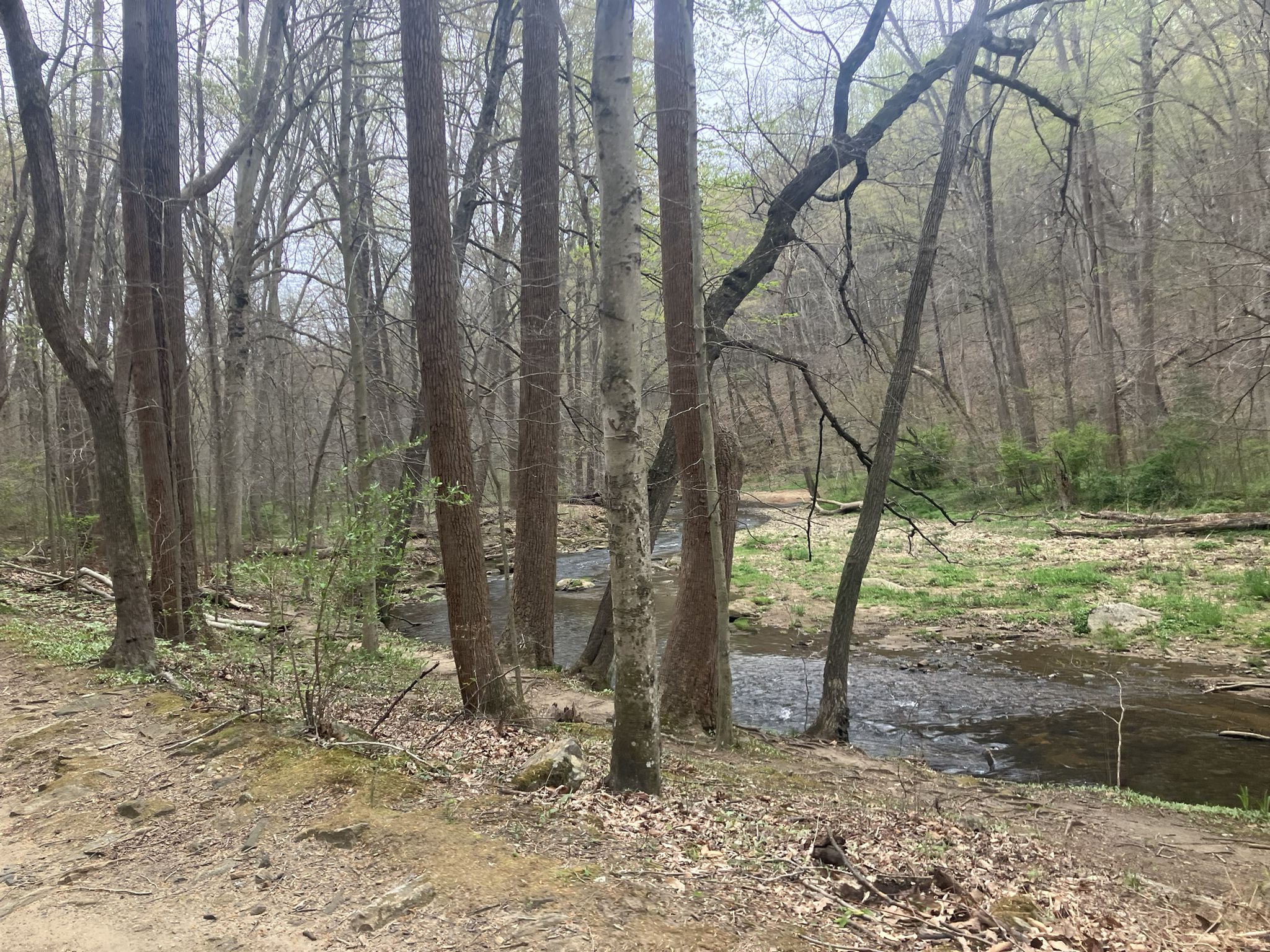 A rocky stream flows through a forest with bare trees under an overcast sky. - Edwin Leid, PennDel, and Vaughn's Trails Loop