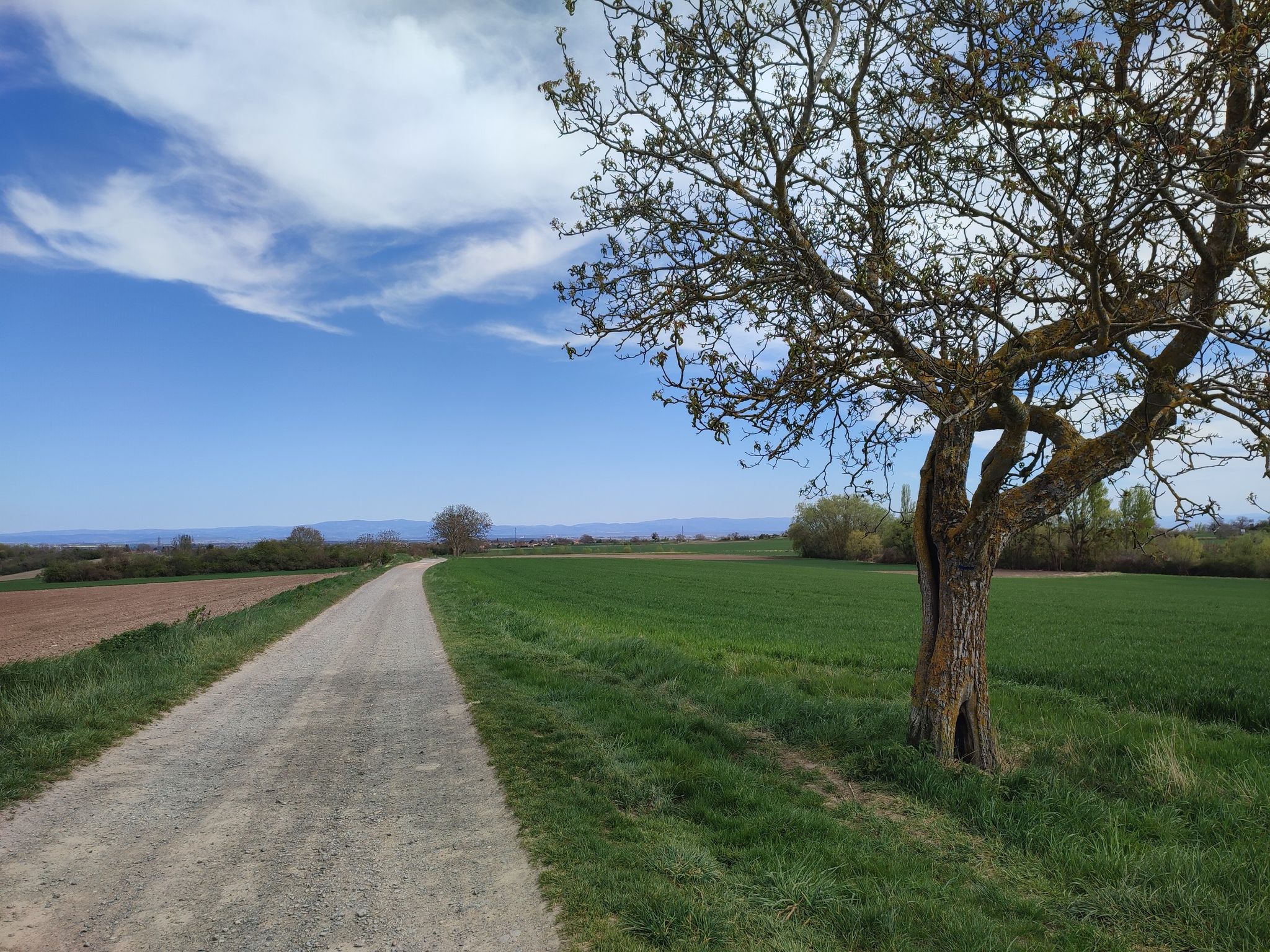 saint coust