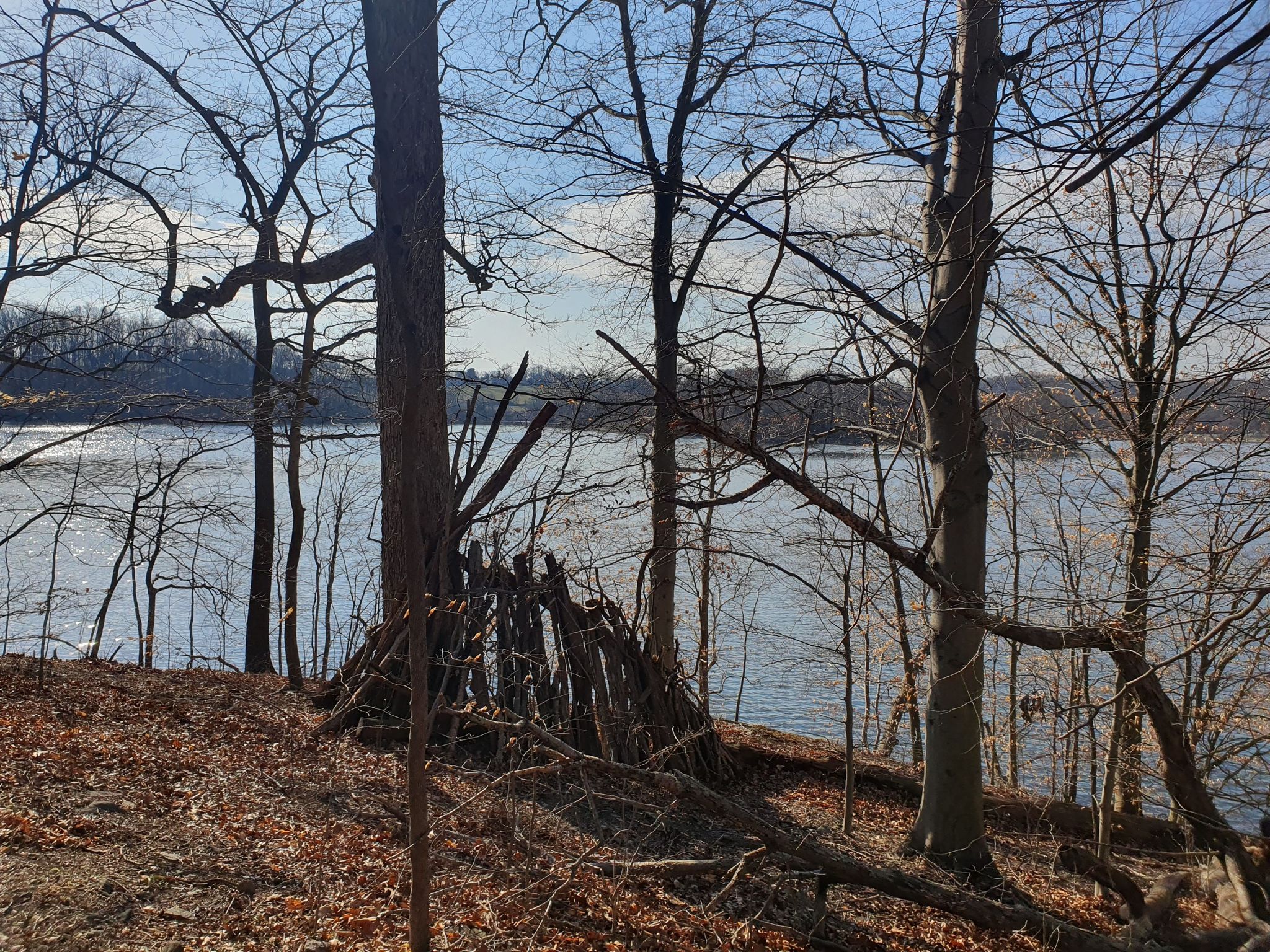 Bare trees frame a lake, with a stick structure on a leaf-covered bank. - Bonus Loop (Yellow Trail) loop from Dorlan