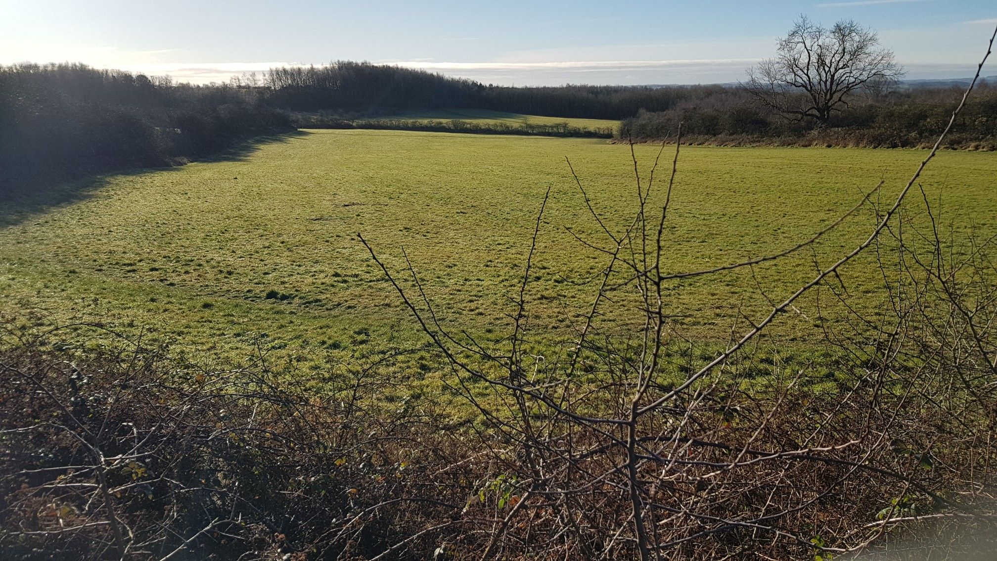 Site of Tibshelf Colliery~Brick Works