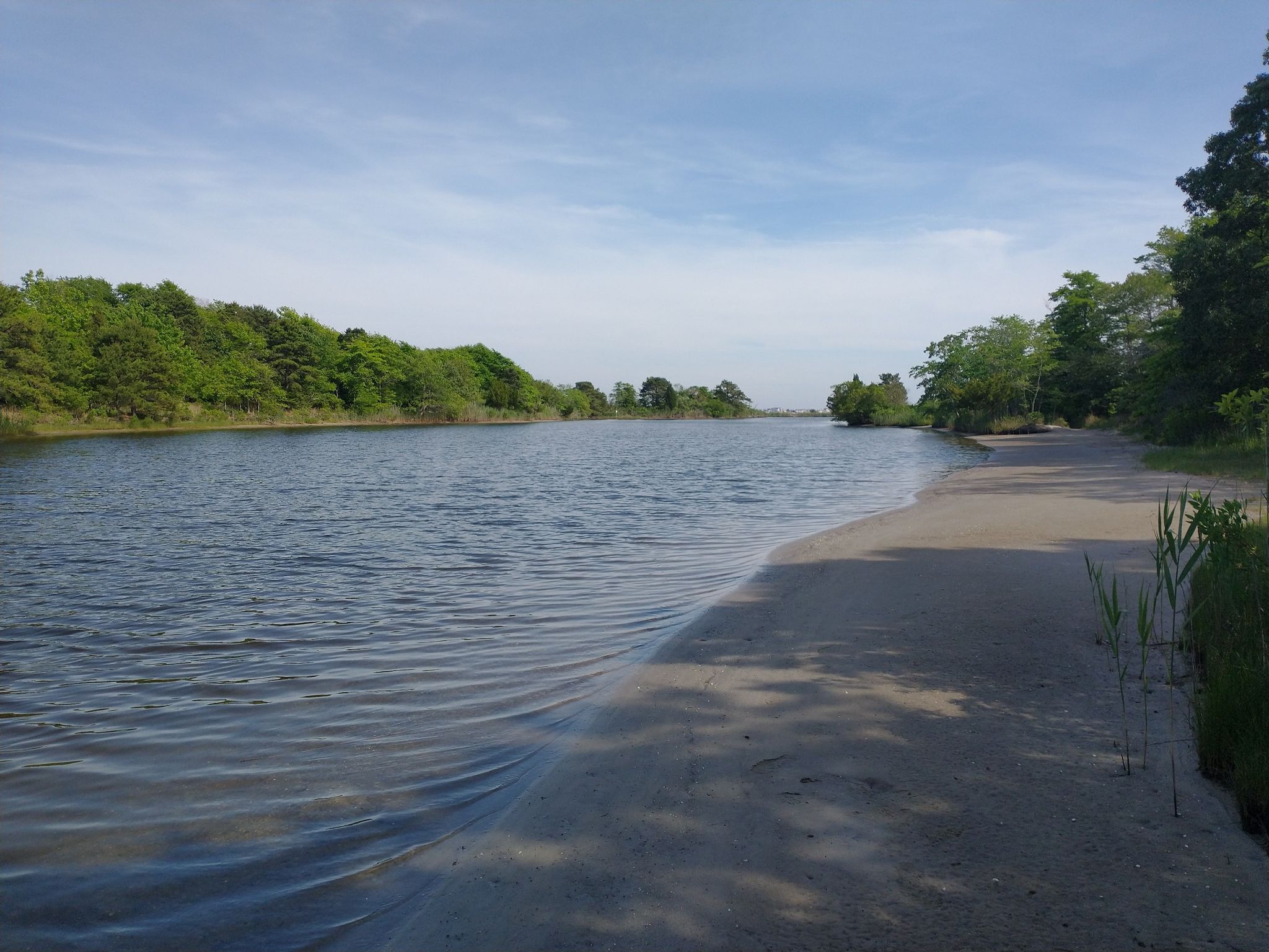 Wide river with sandy bank and green trees under a bright blue sky. - deCamp Wildlife Trail