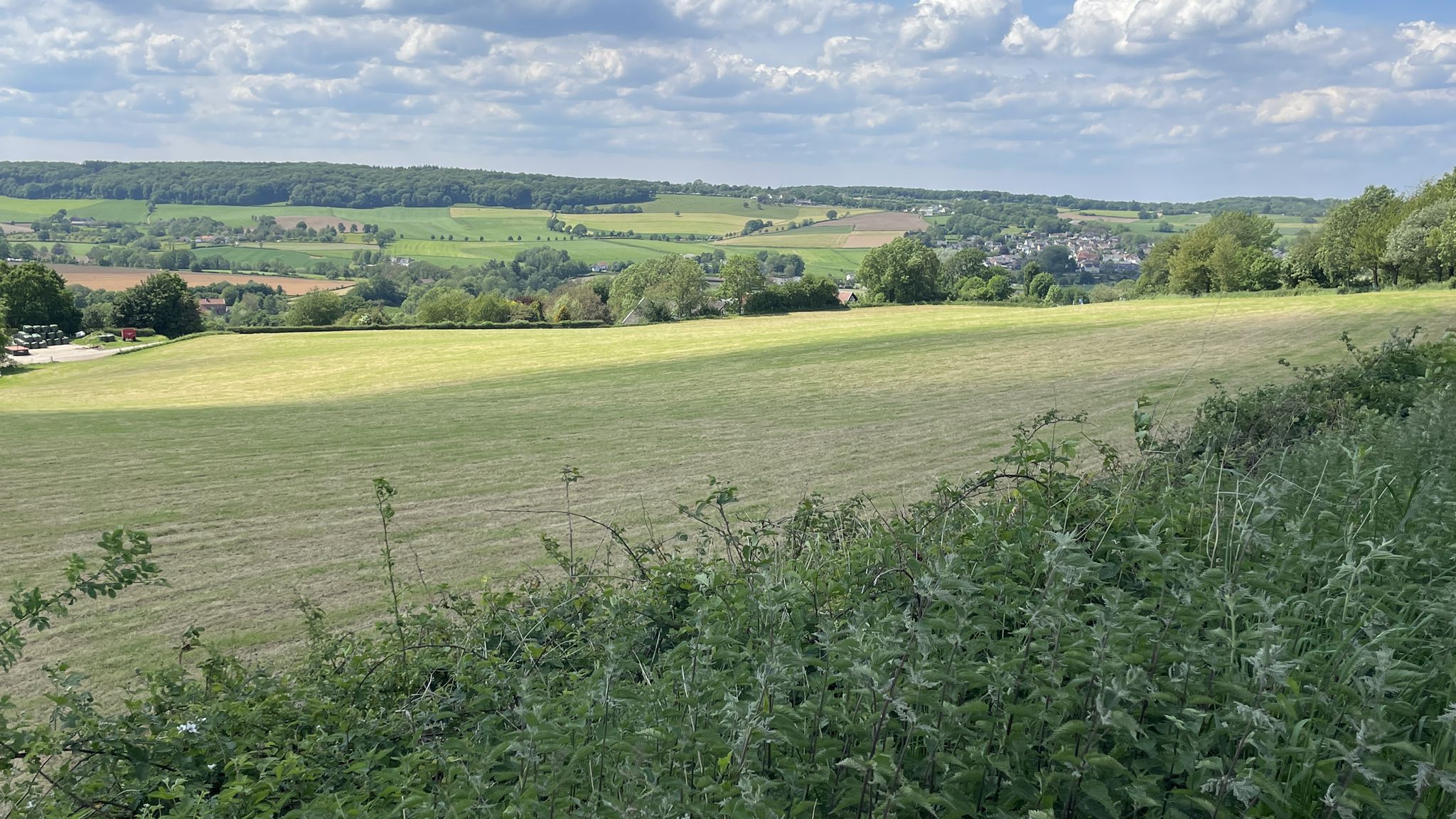Blick von der Brasserie Buitenlust