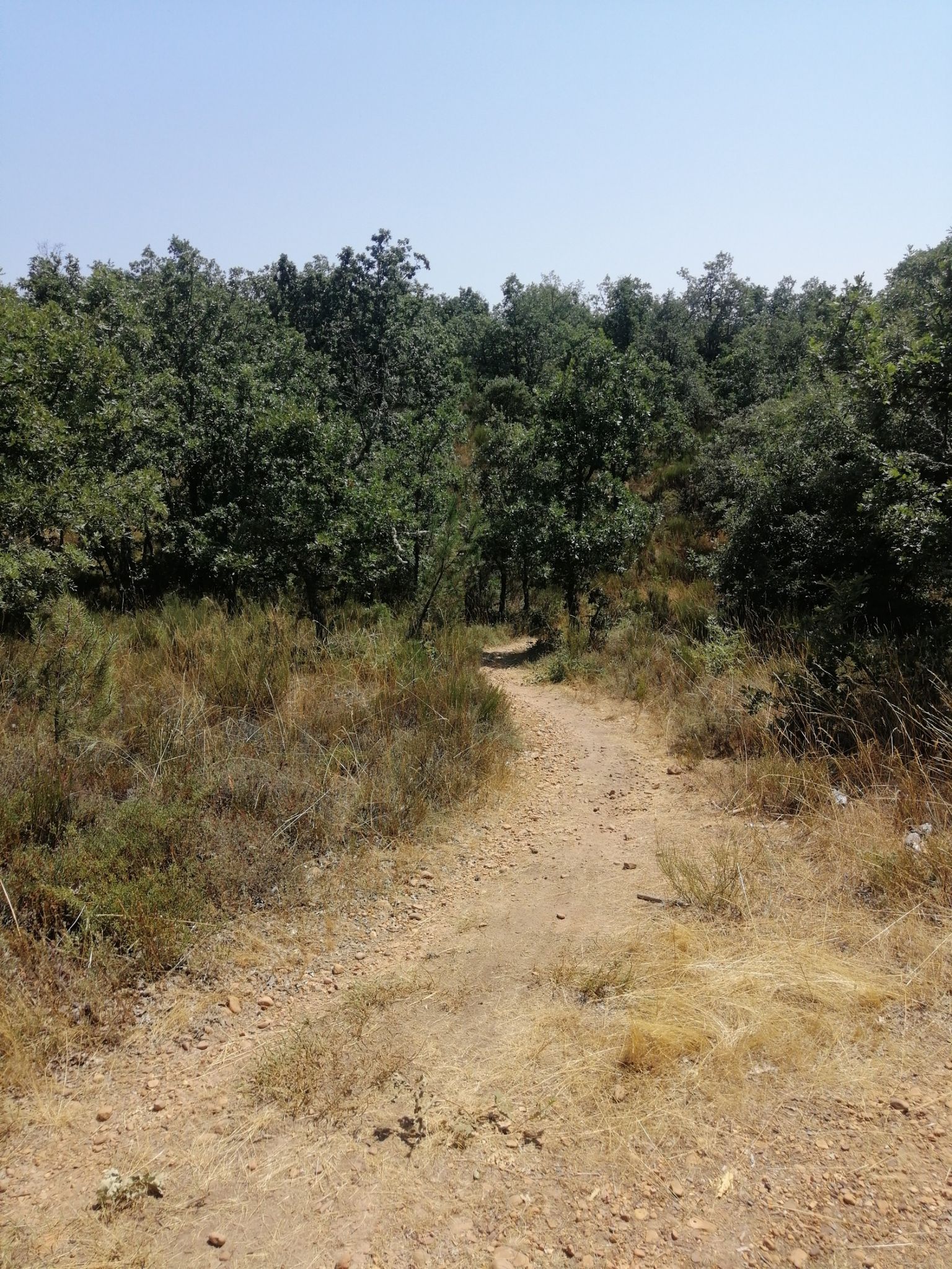 descenso suave 1.4km