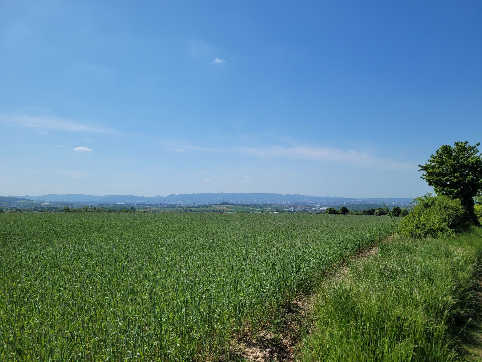 Blick Richtung Kassel
