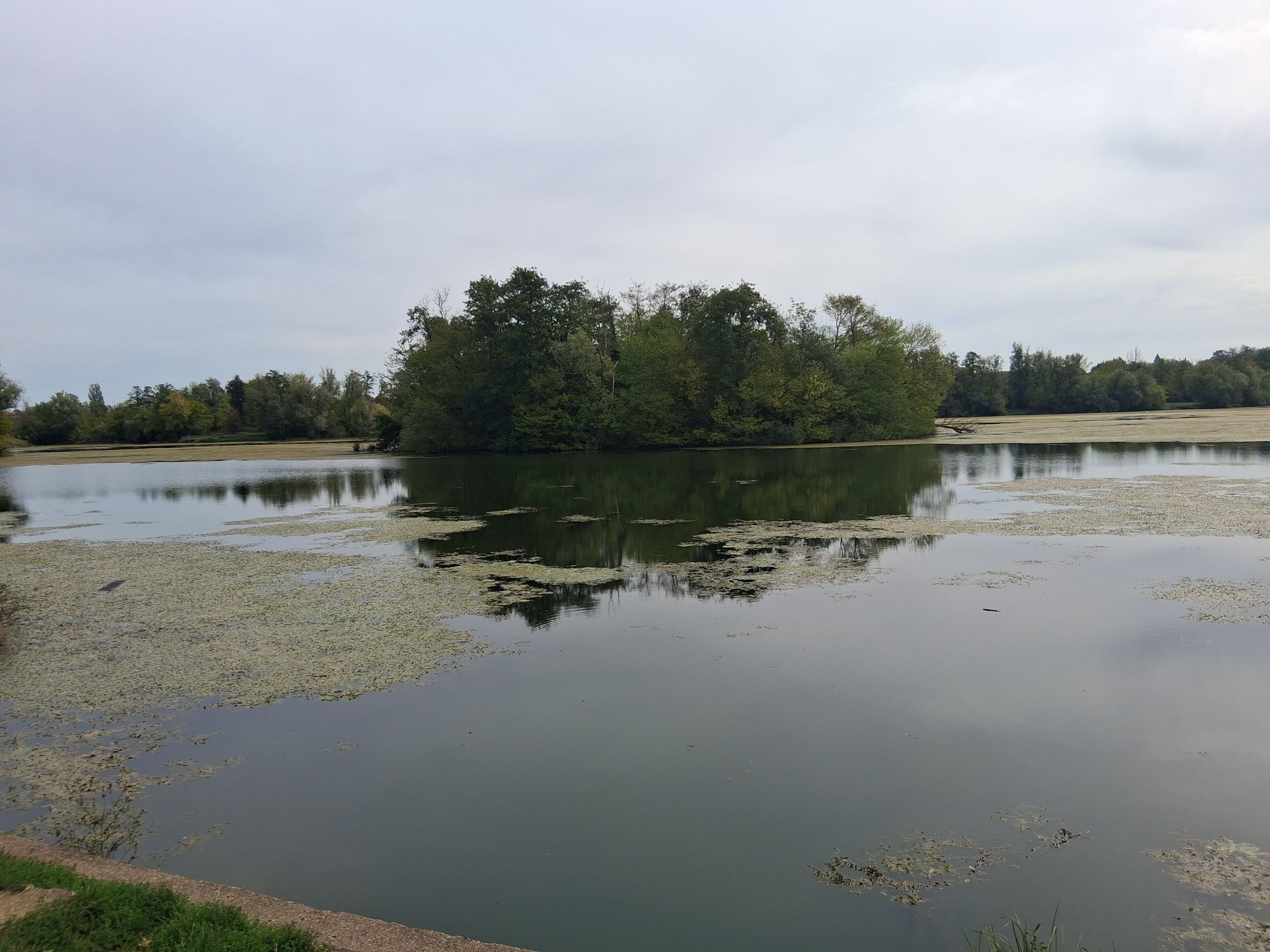 vieuw