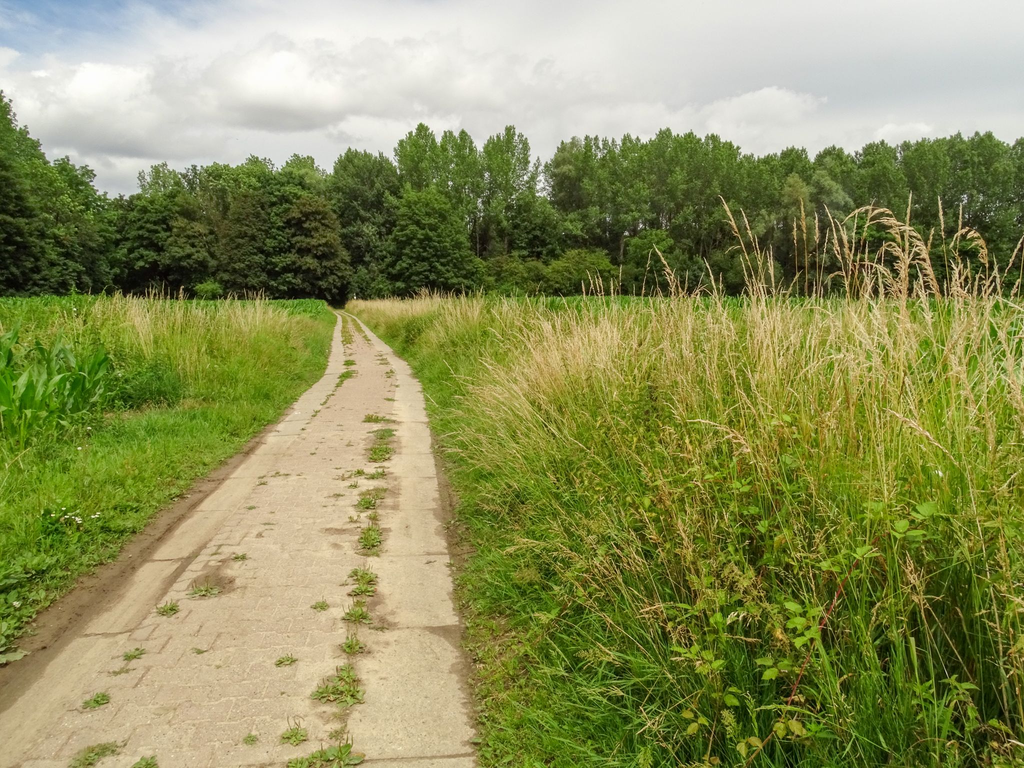 Zennebeemden, Beersel