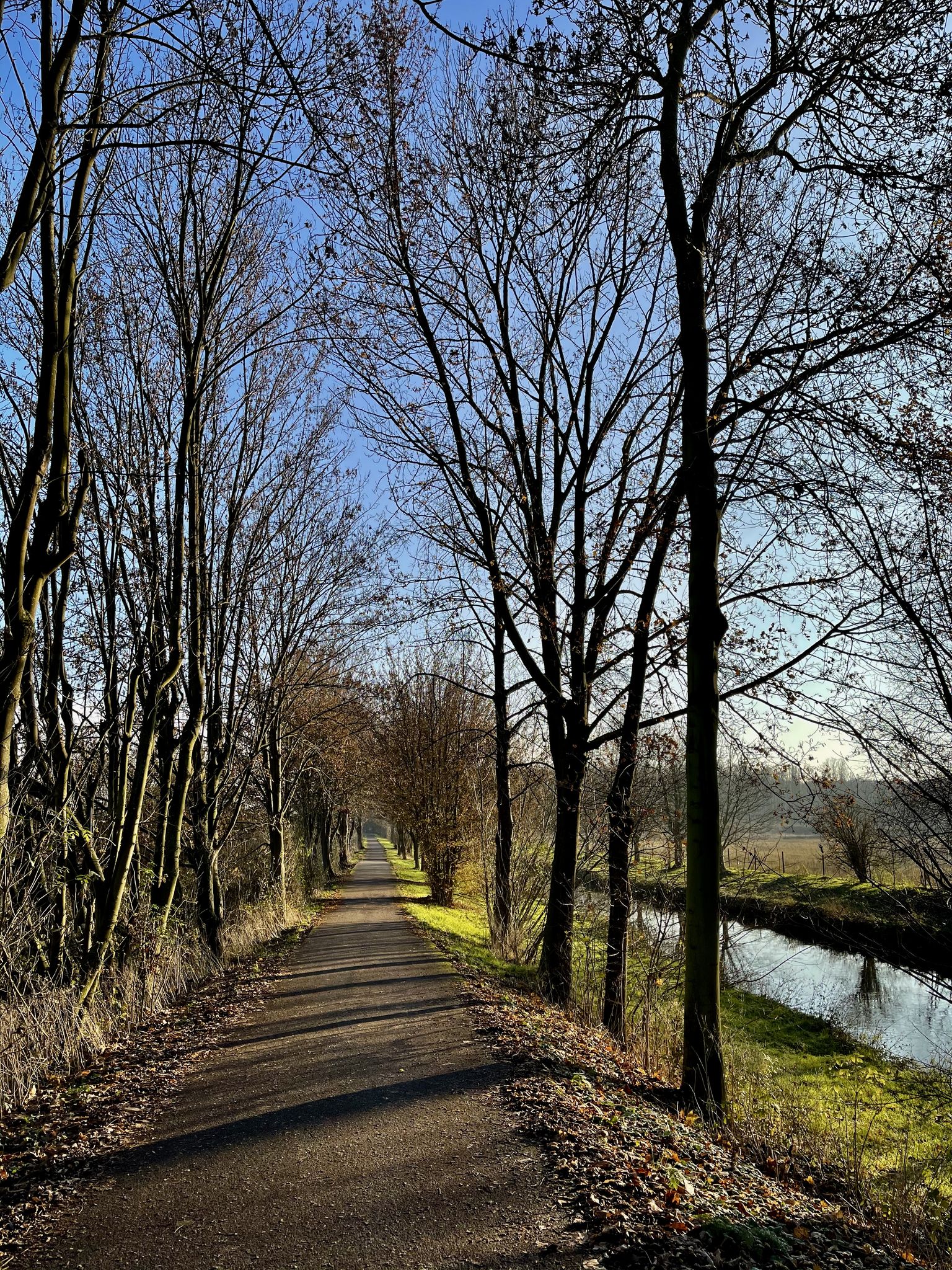 ab hier immer an der Erft entlang