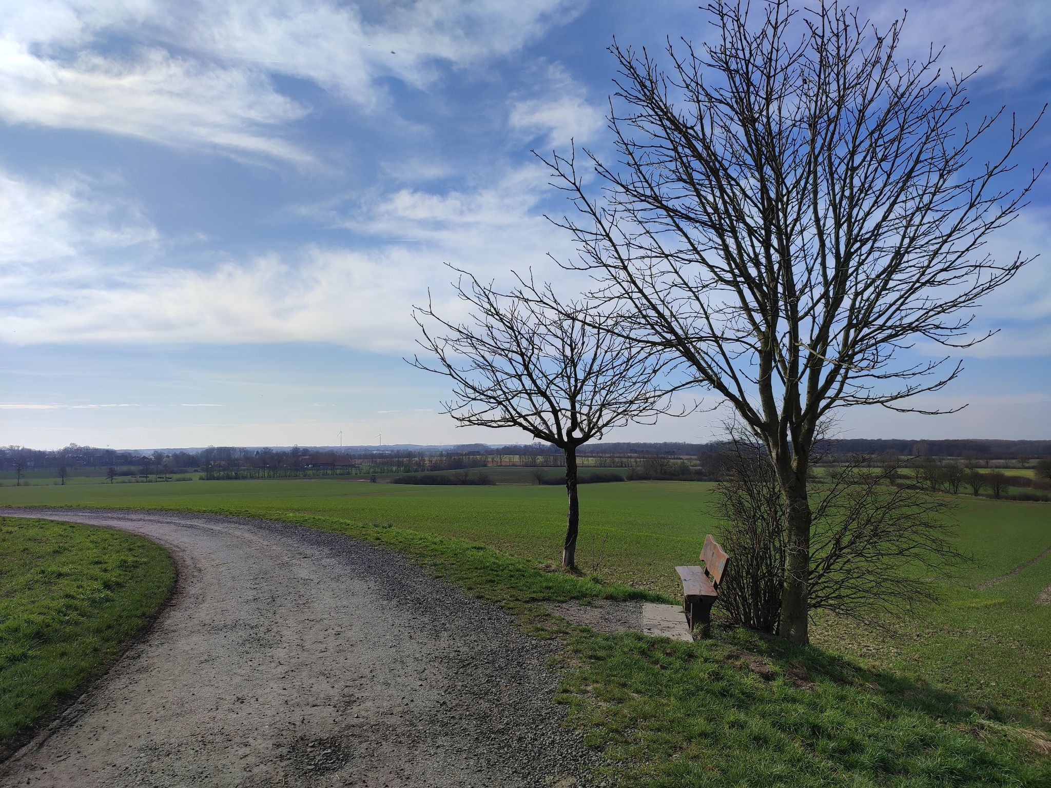 Blick vom Ichterloher Berg auf Kohues Holz & Hirschpark