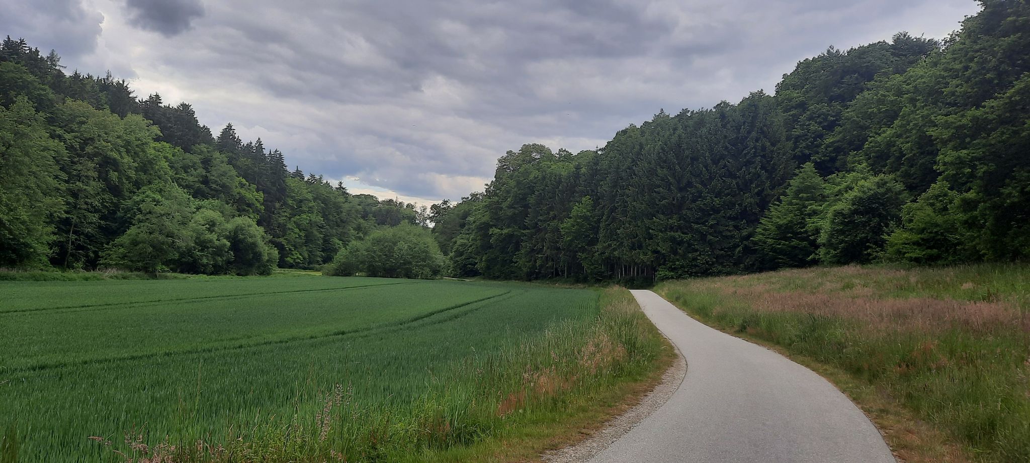 Wolfachradweg