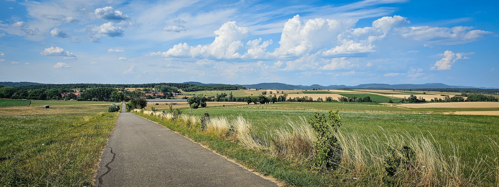 Anhöhe zw. Niedersoultzbach und Bouxwiller