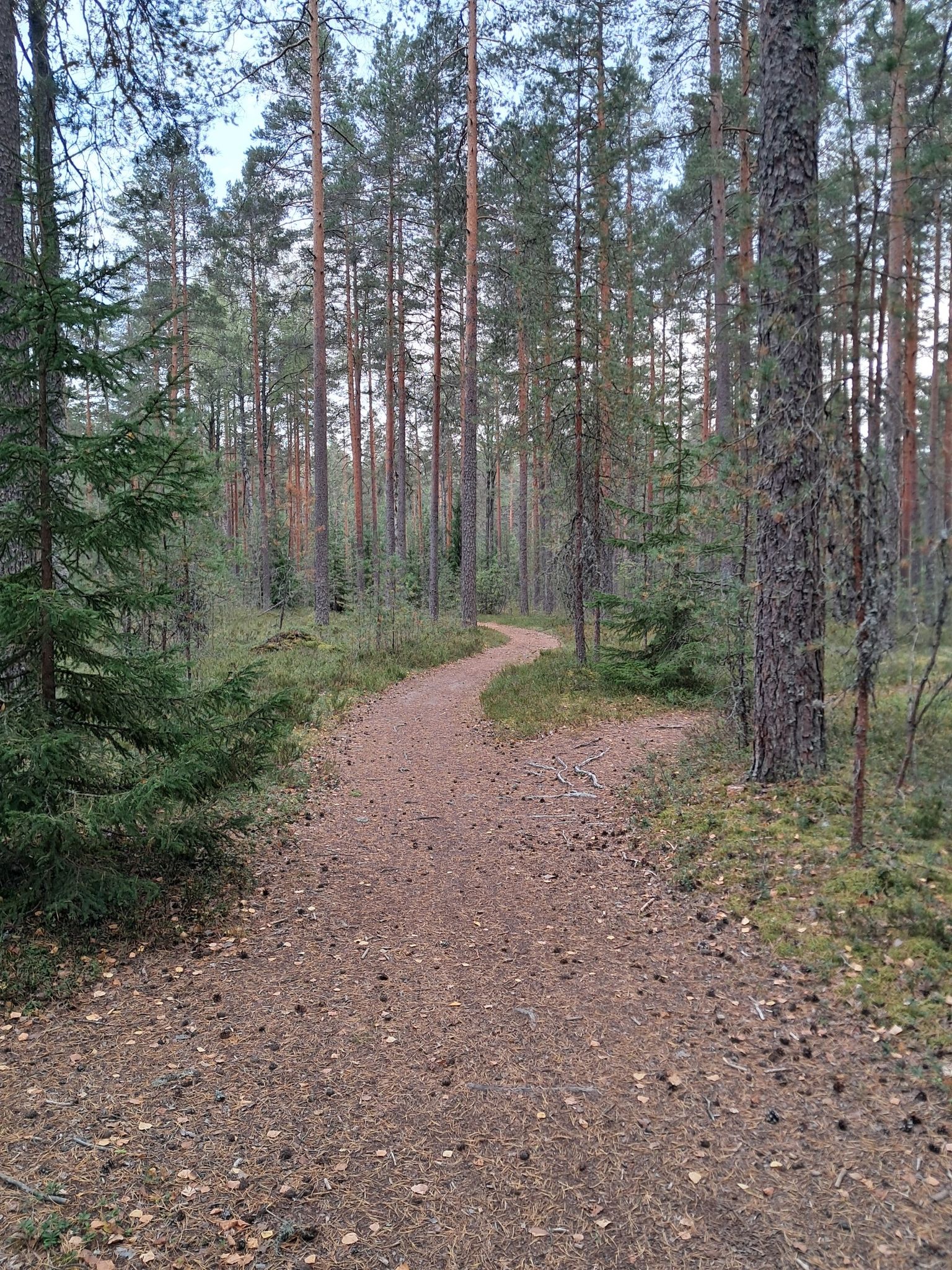 nice path