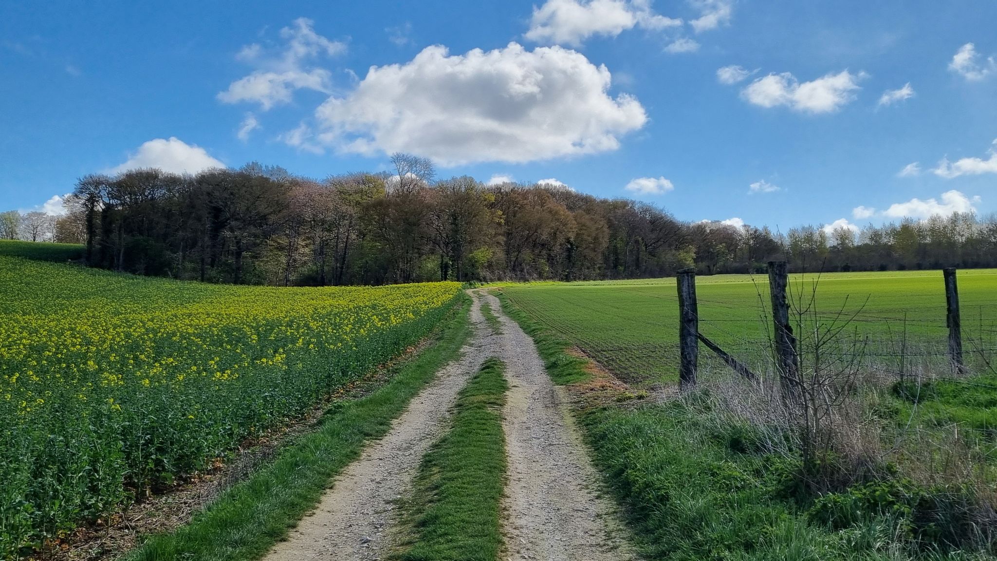 Agréable section gravel / Pleasant gravel section