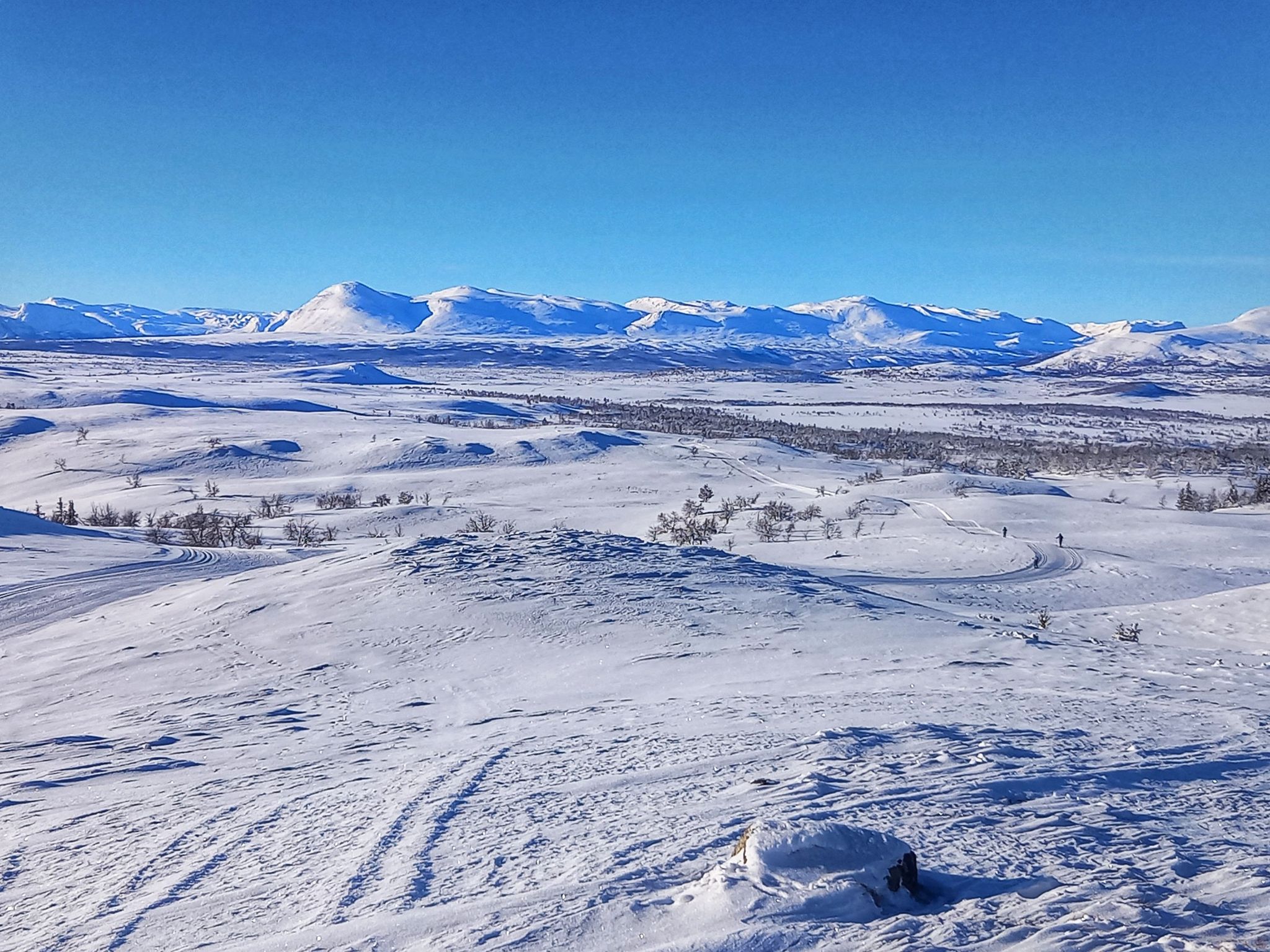Auf dem Fjell