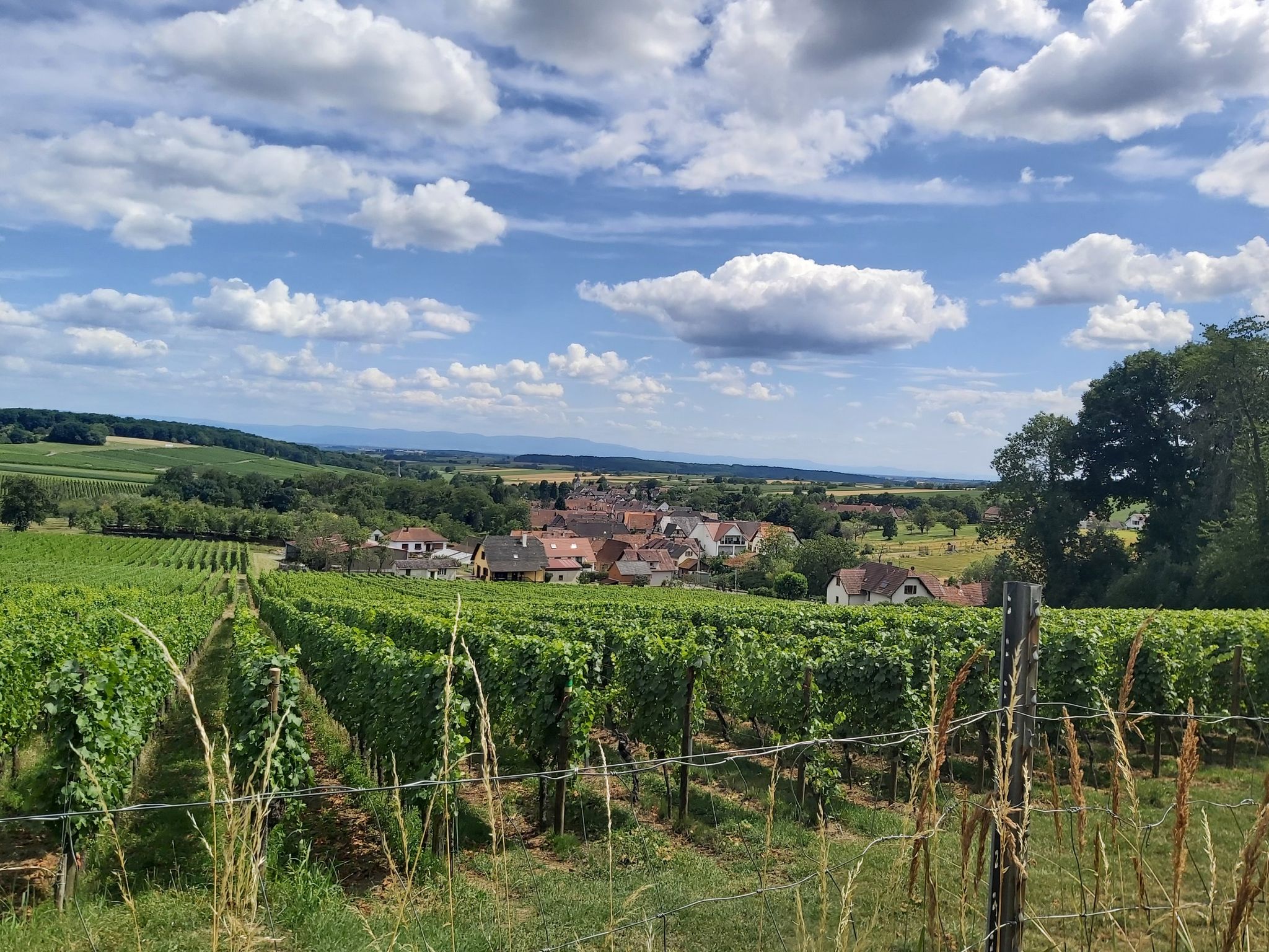 Blick auf Cleebourg